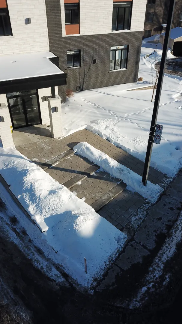 Les RENFORTS - Taille de haie, Paysagement, Gazon Montréal photo 8