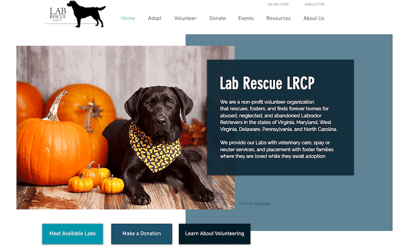 lab rescue lrcp