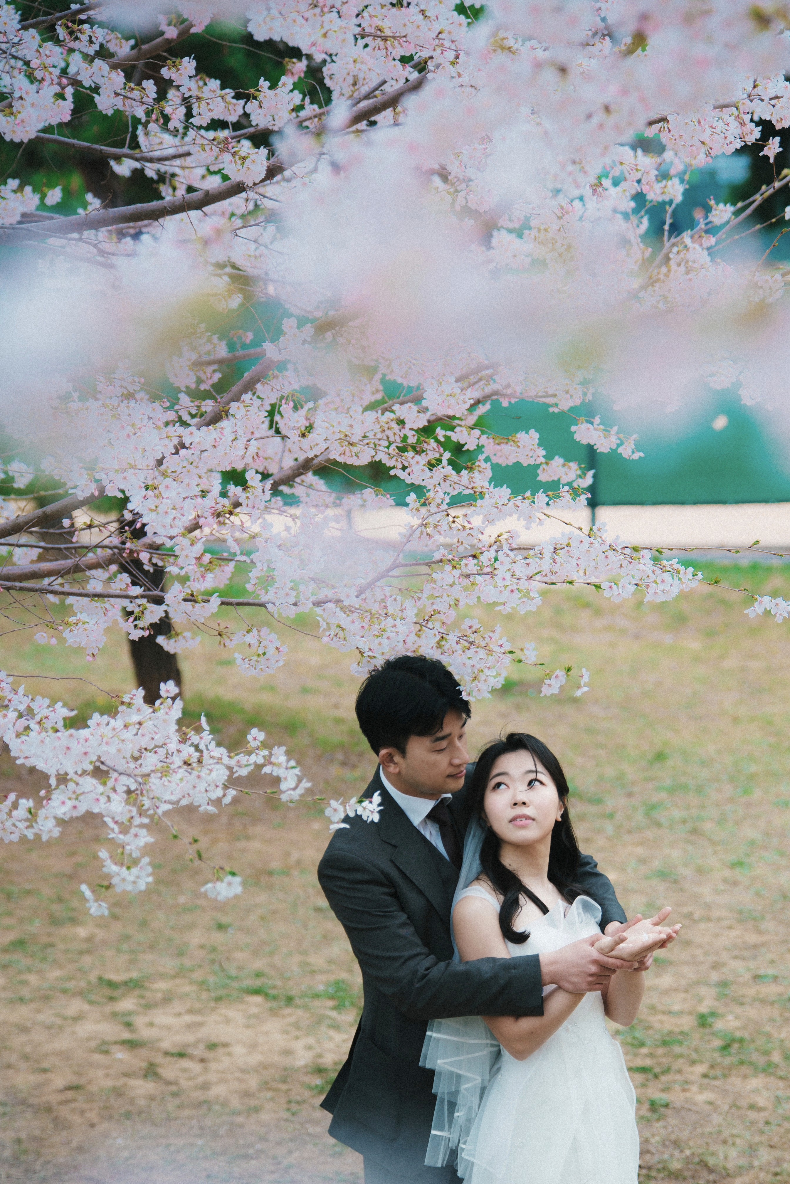 Photograph title Copy Copy Copy Copy Copy Copy Copy Copy Copy Copy