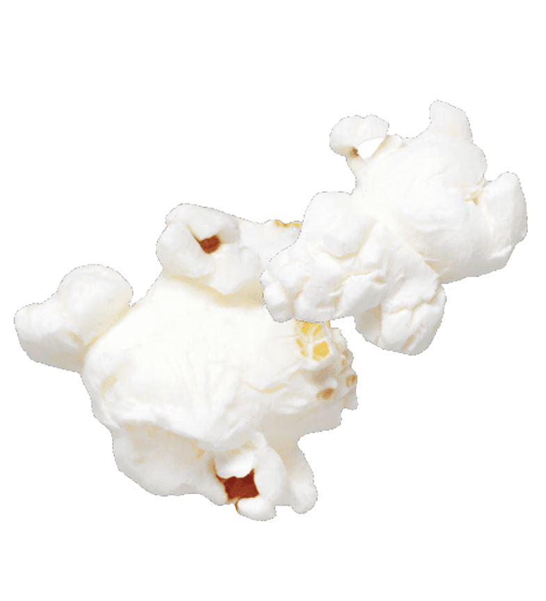 Corn 