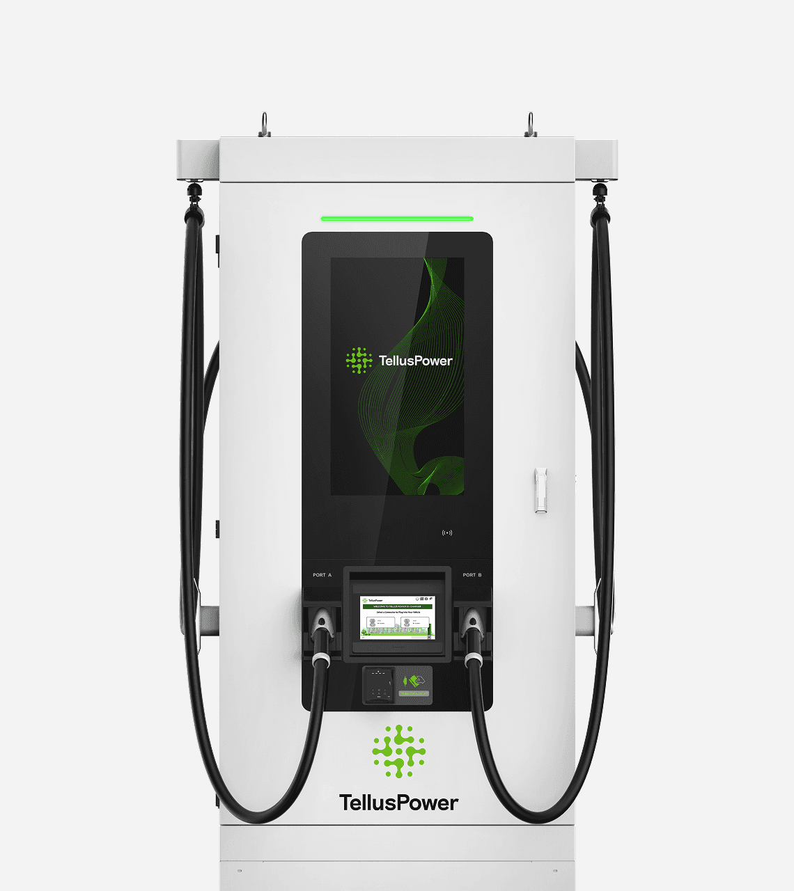 Close-up of a tree stump showing growth rings and a textured brown wood surface.