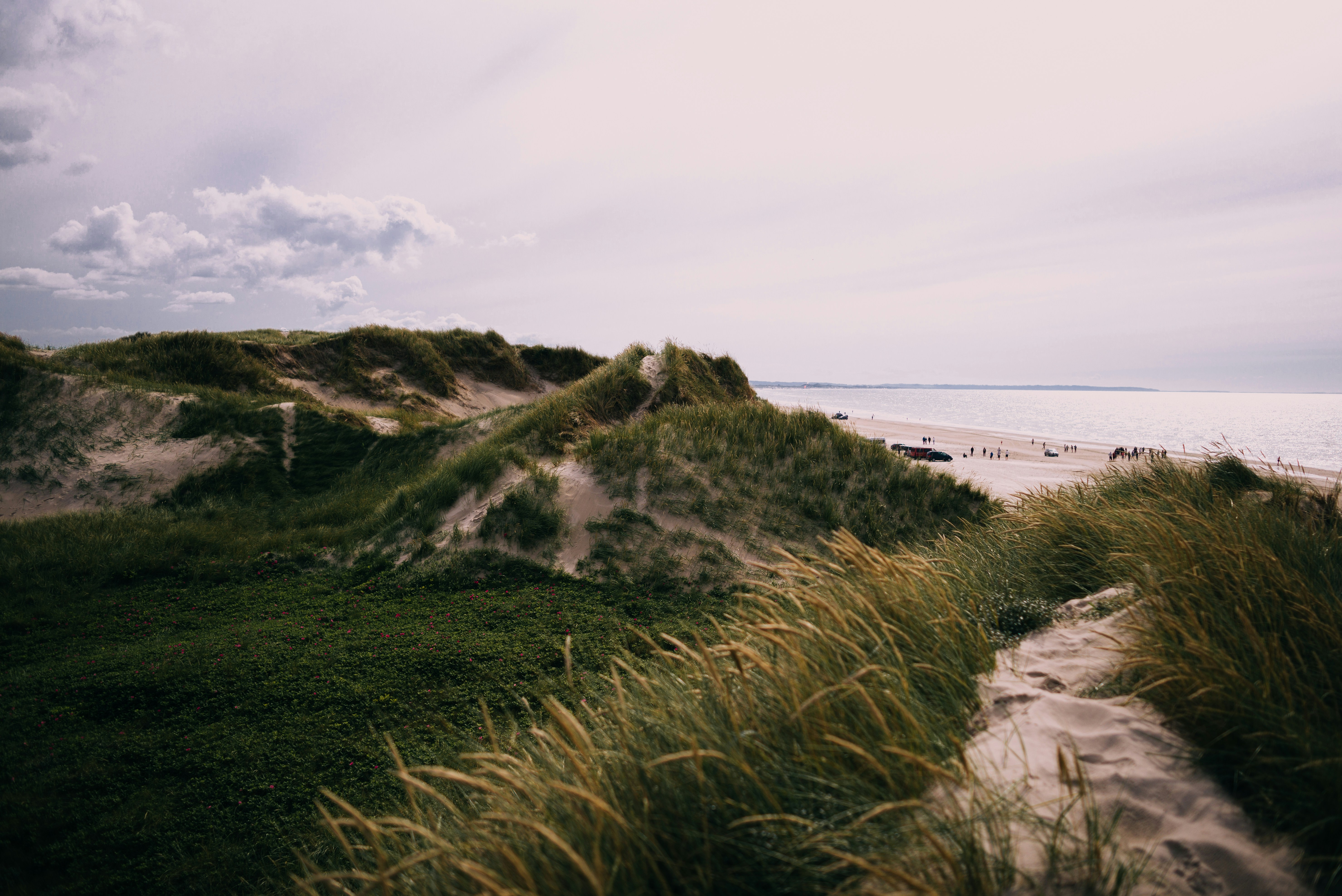 mountain covered by grass beside the seashore