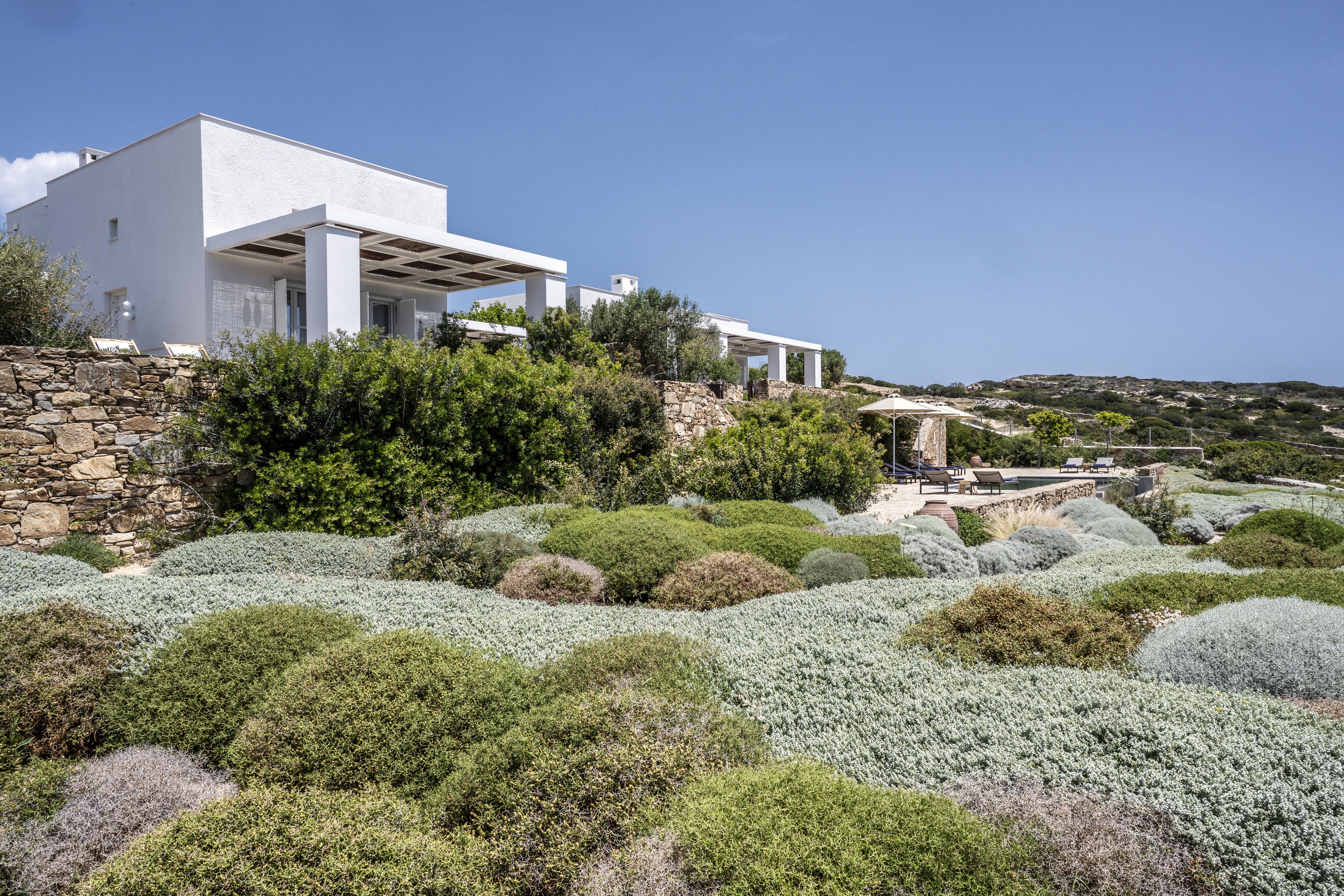 A mediterrenean garden in front of a white house in Cycliadic architecture on Koufonisia