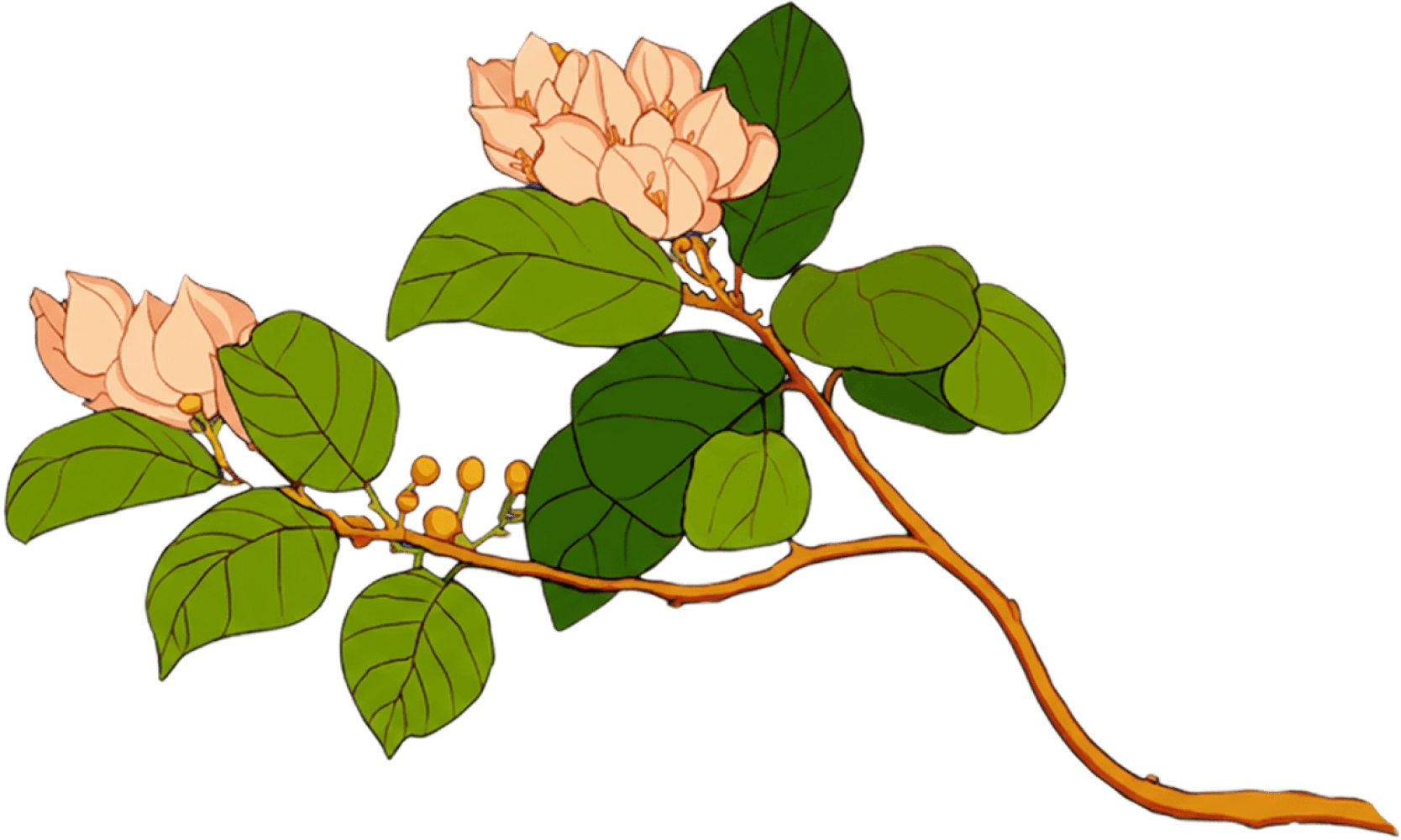 A branch with delicate pink flowers and vibrant green leaves against a simple background.