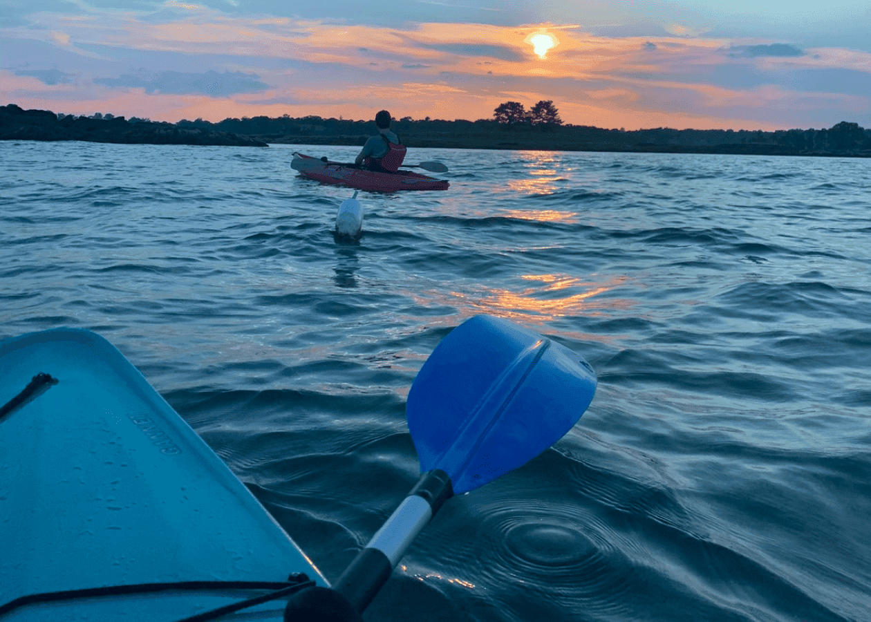 a boat surfing