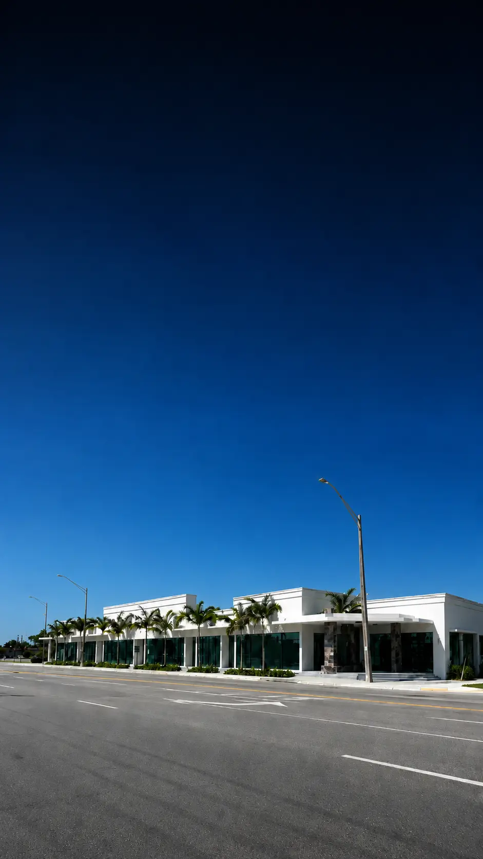 White single-story commercial retail plaza with glass storefronts and palm trees along a Miami street