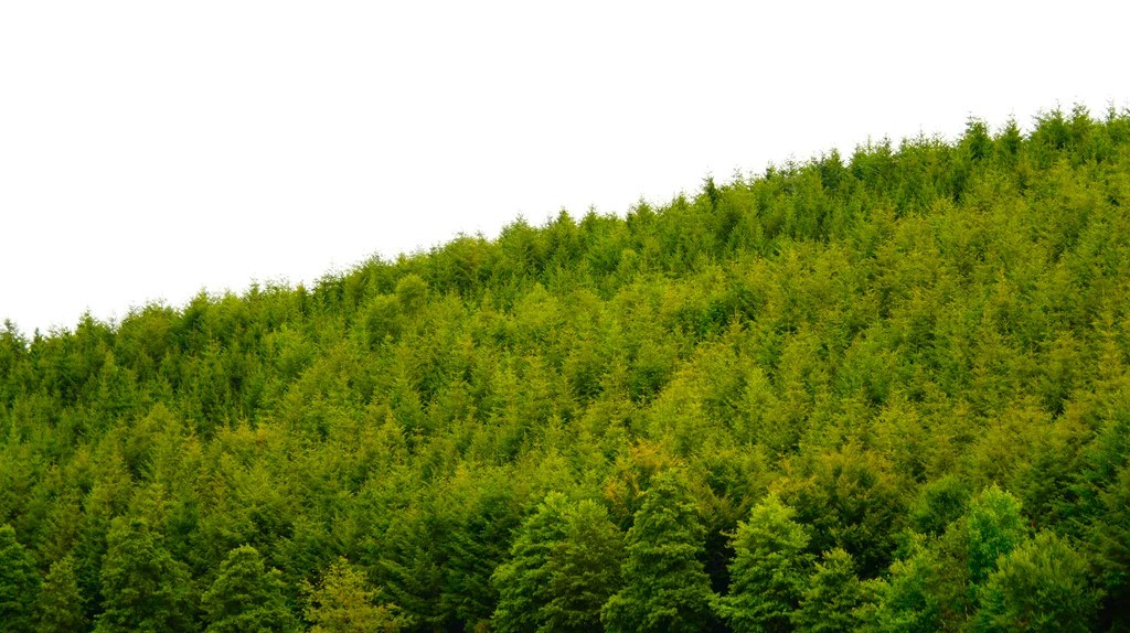 Duurzaamheid FSC PEFC