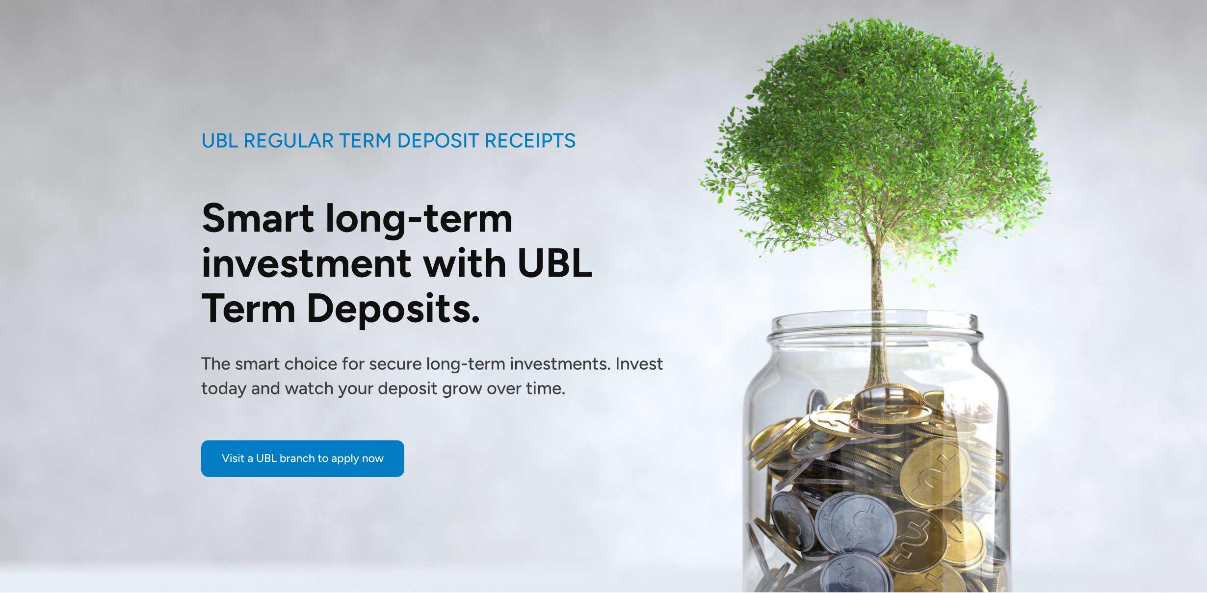 UBL Website Page Hero Section