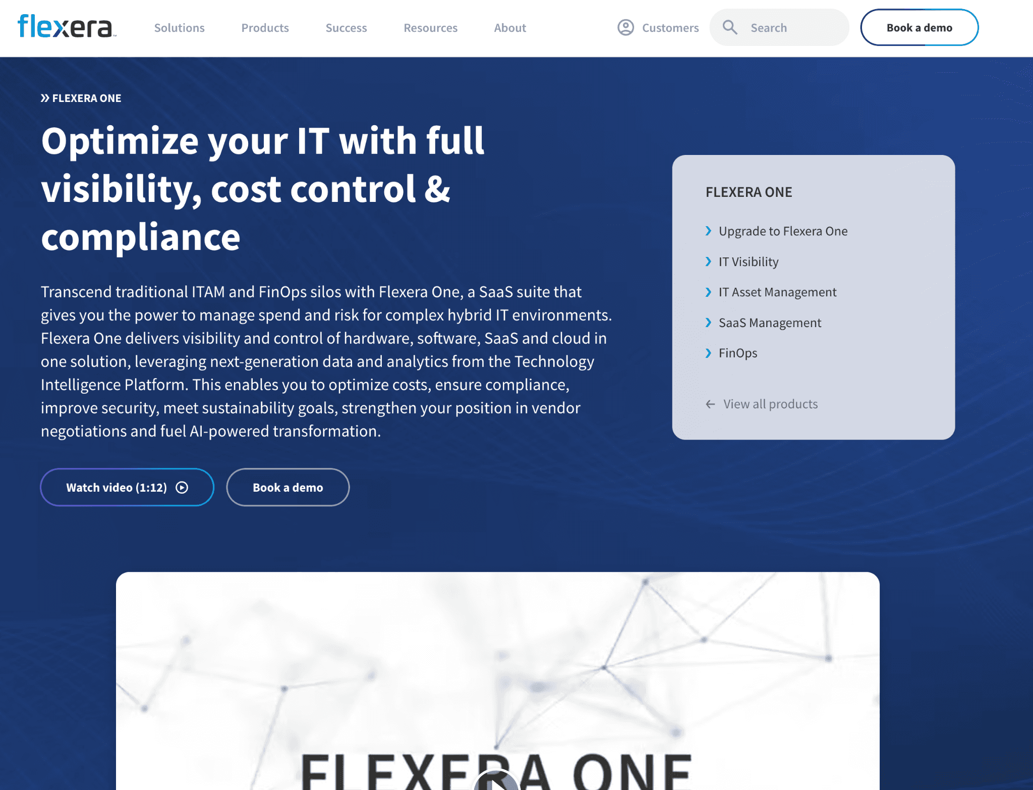Flexera One