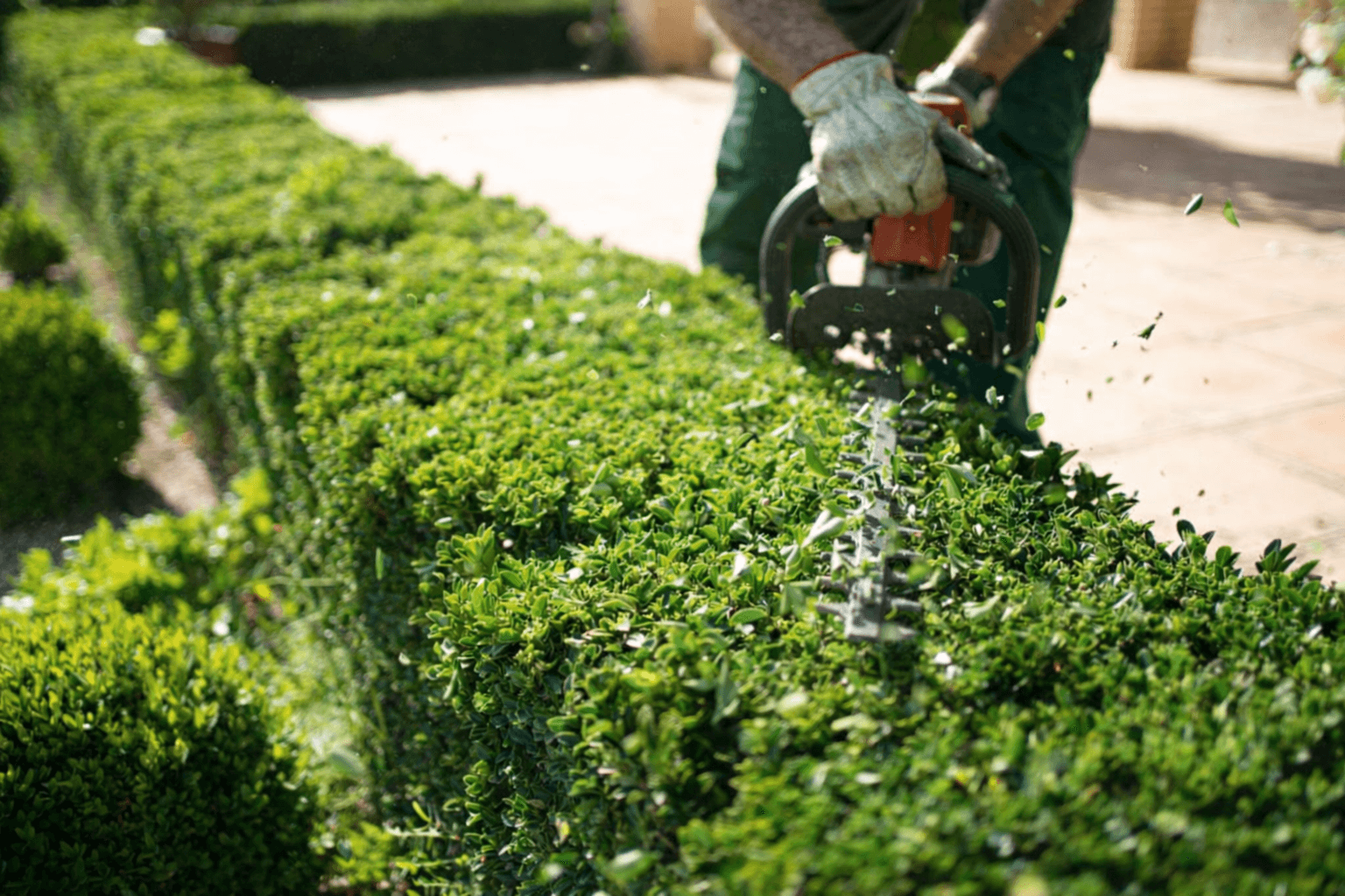 Commercial Landscape Palm Coast and Ormond Beach