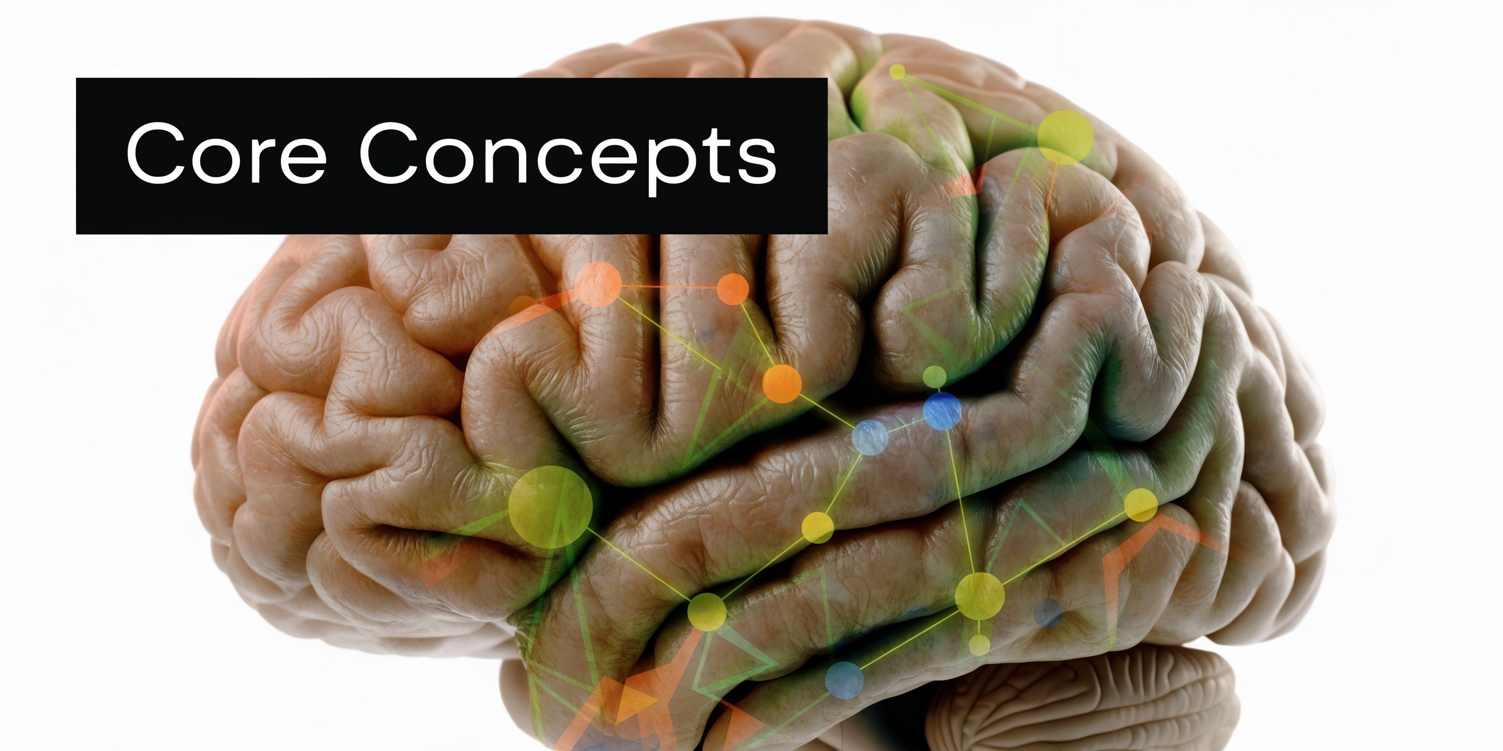 A close-up illustration of a human brain with a network of glowing nodes and connection lines.