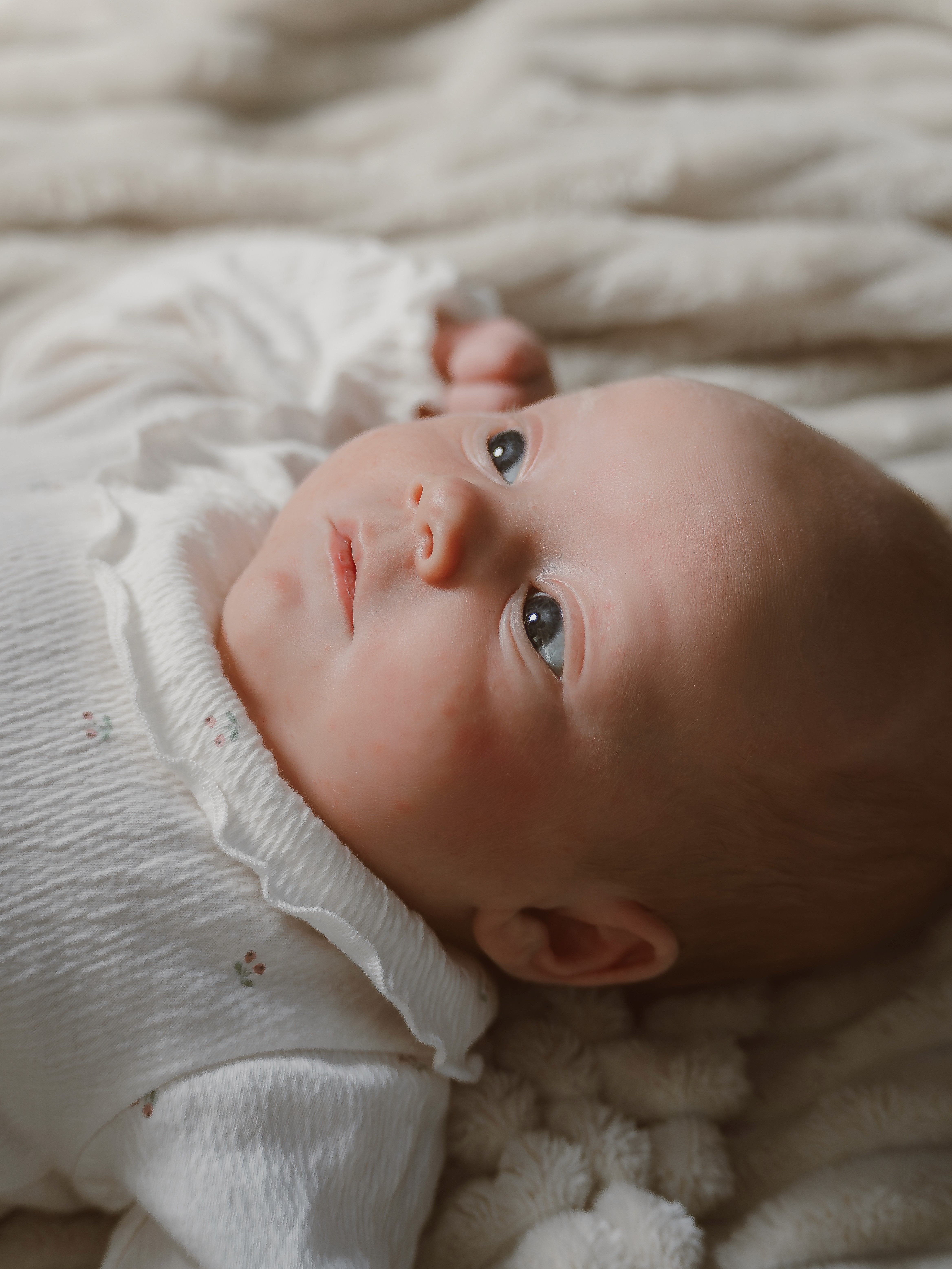 Fotografering av nyfødt baby i varm og myk stemning. Naturlig lys og dokumentarisk uttrykk.