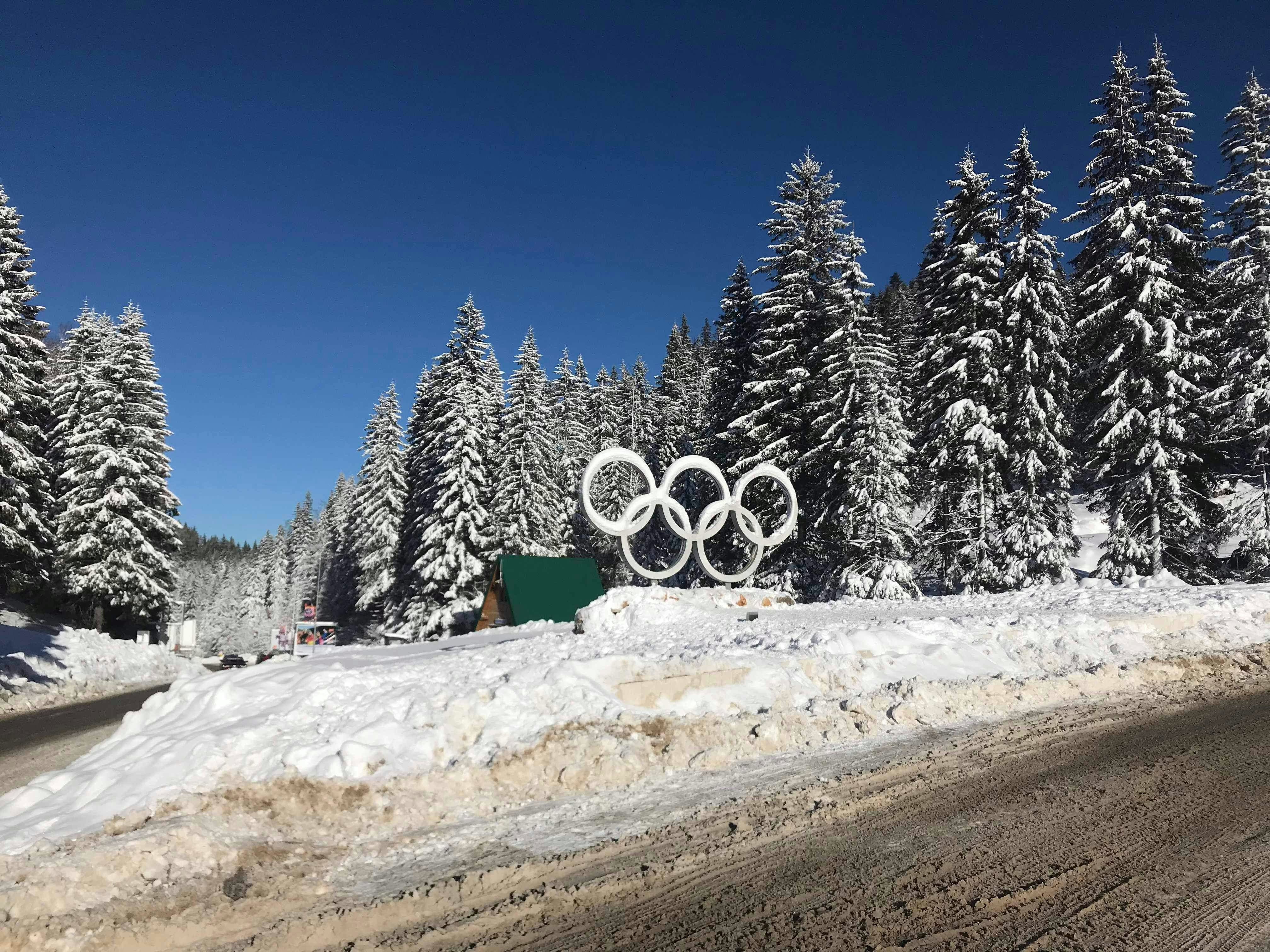 green pine trees covered with snow during daytime