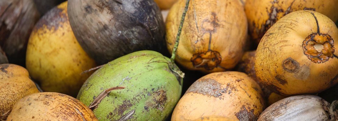 a picture of unpeeled coconuts