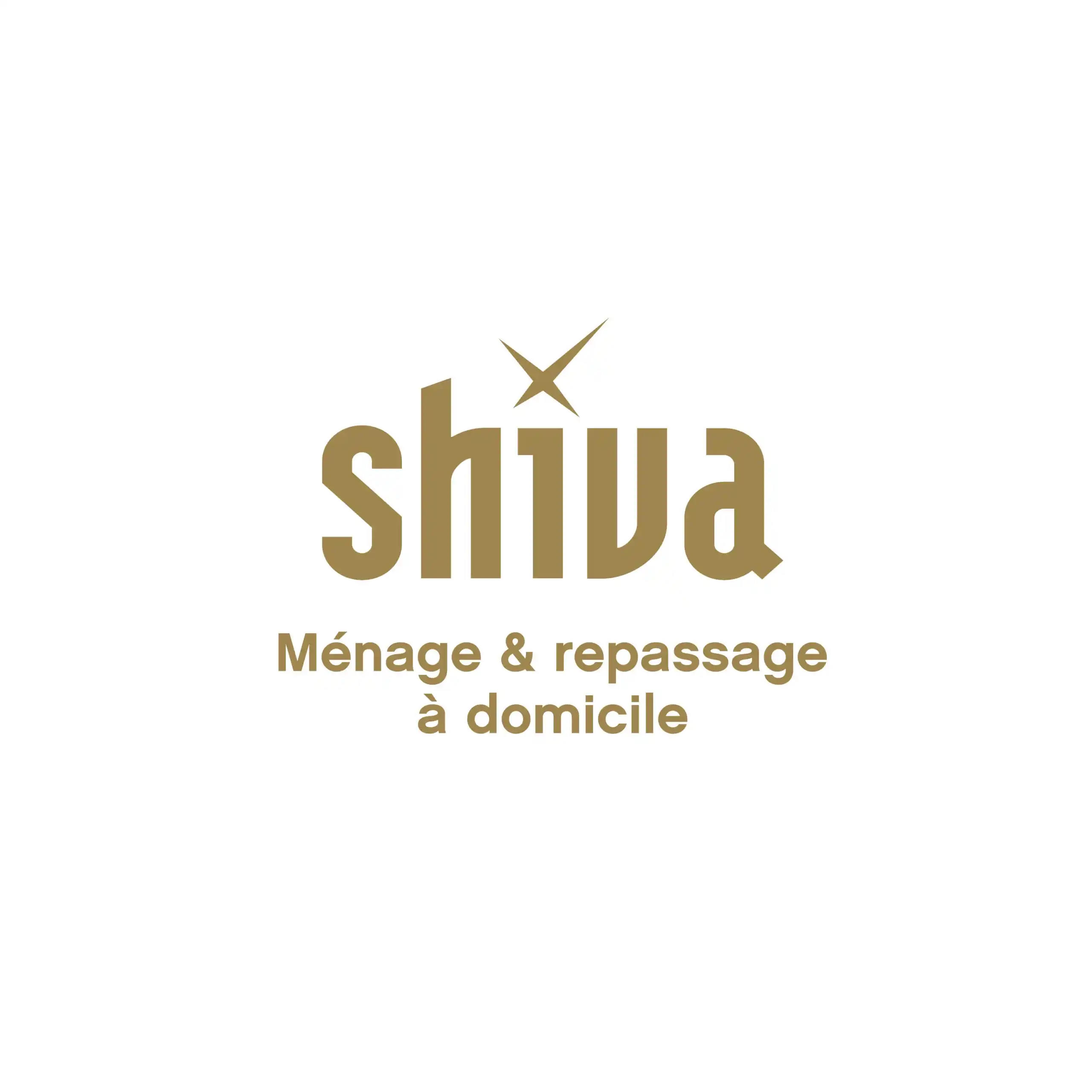 logo franchise shiva