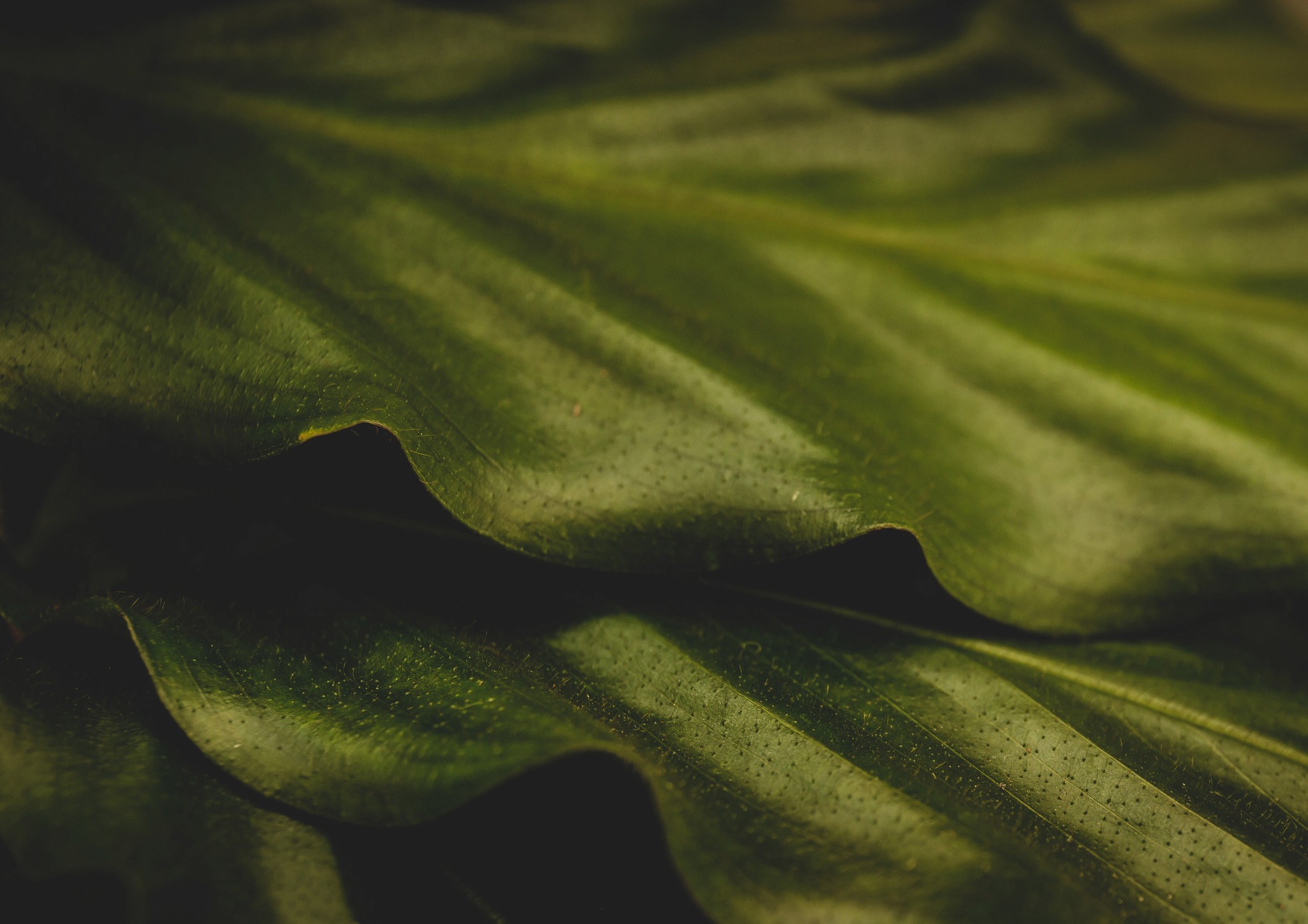 Image of a bed with a cup of coffee sitting on it