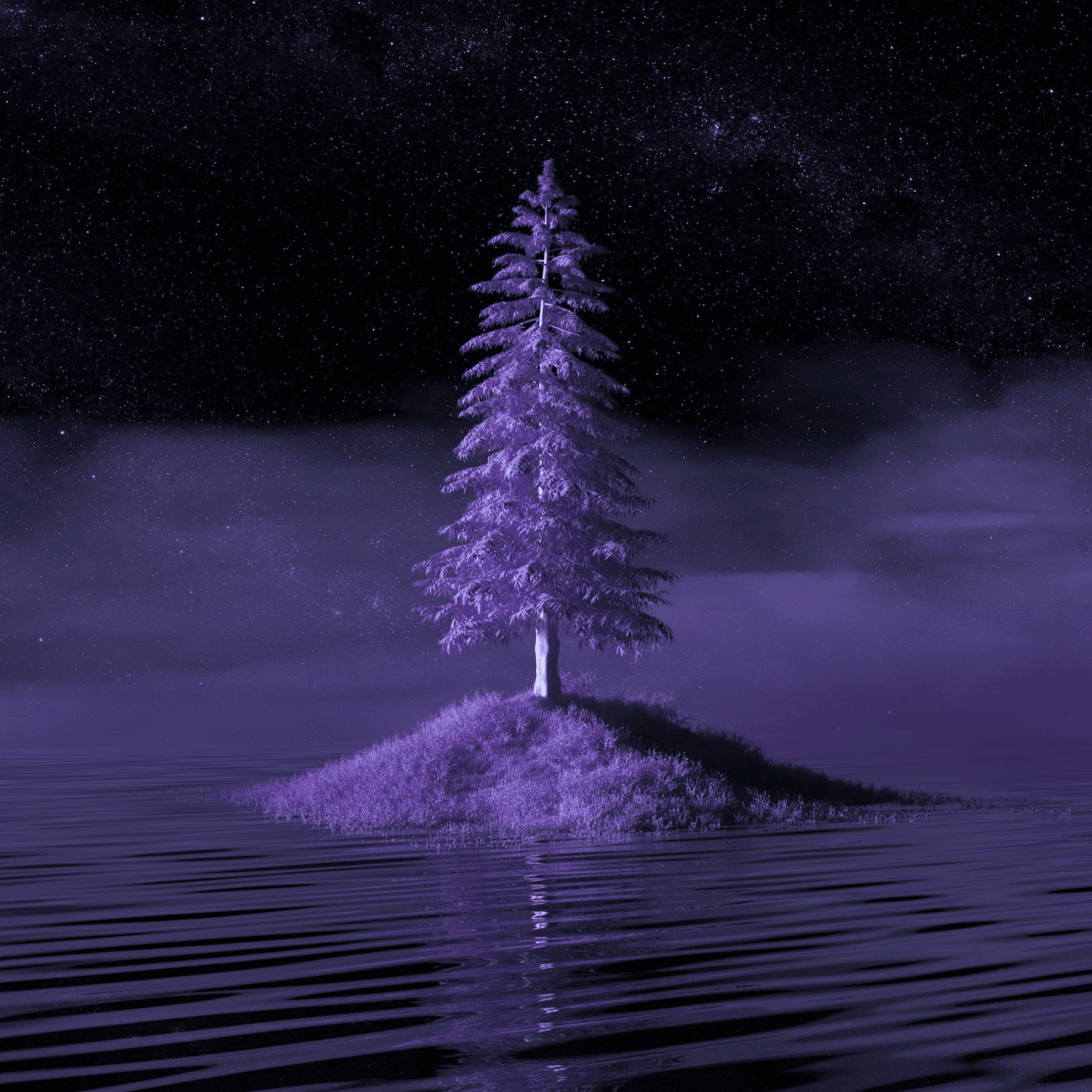 A tree floating on top of an island at night