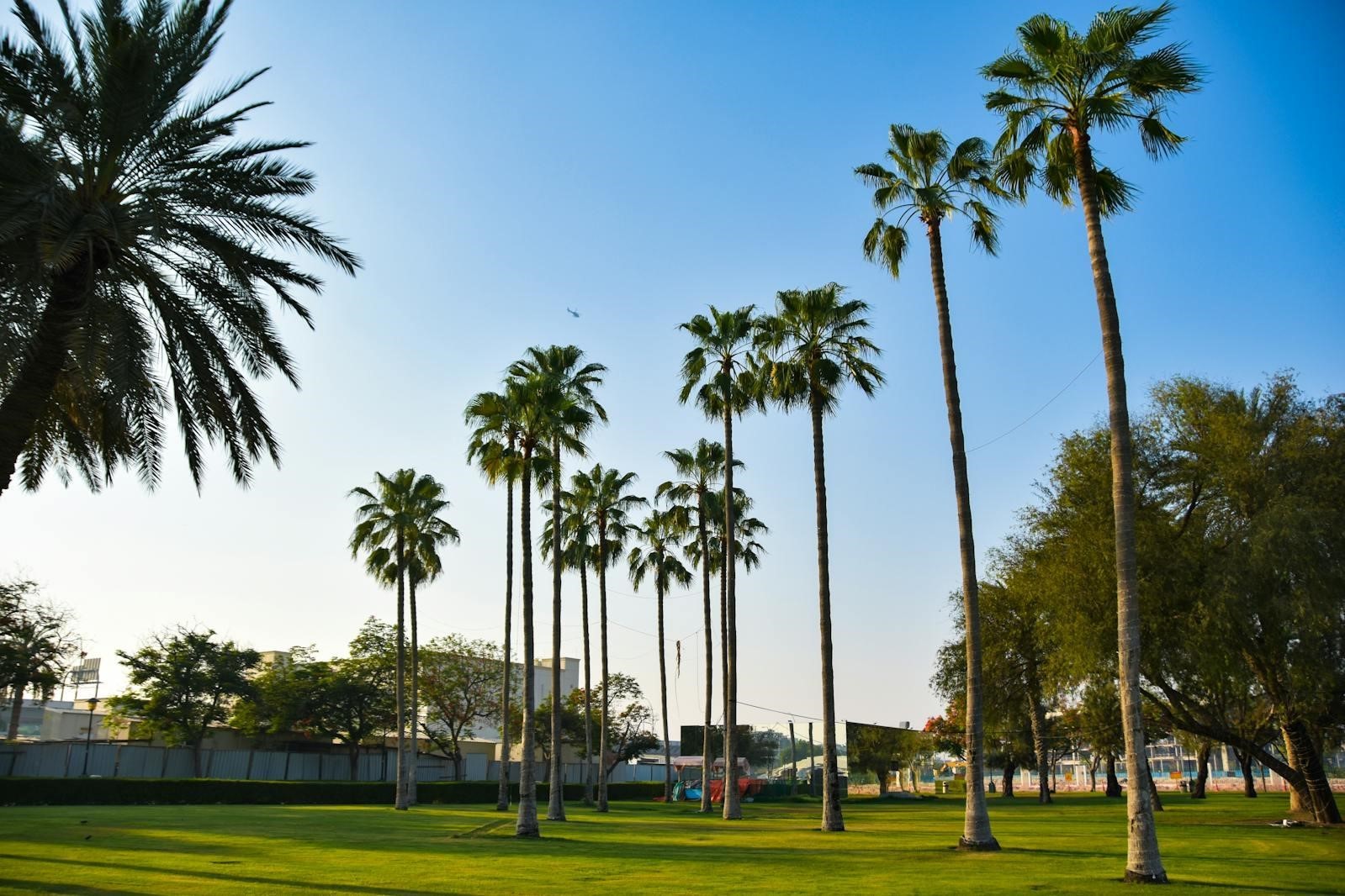 Expert real estate agent services for villas located near lush green parks and palm trees in Dubai.