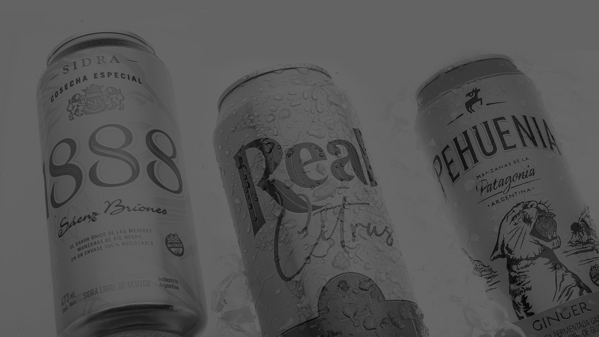Three beverage cans with condensation: "1888 Sidra" on the left, "Real Citrus" in the center, and "Pehuenia" ginger drink on the right, suggesting refreshment.