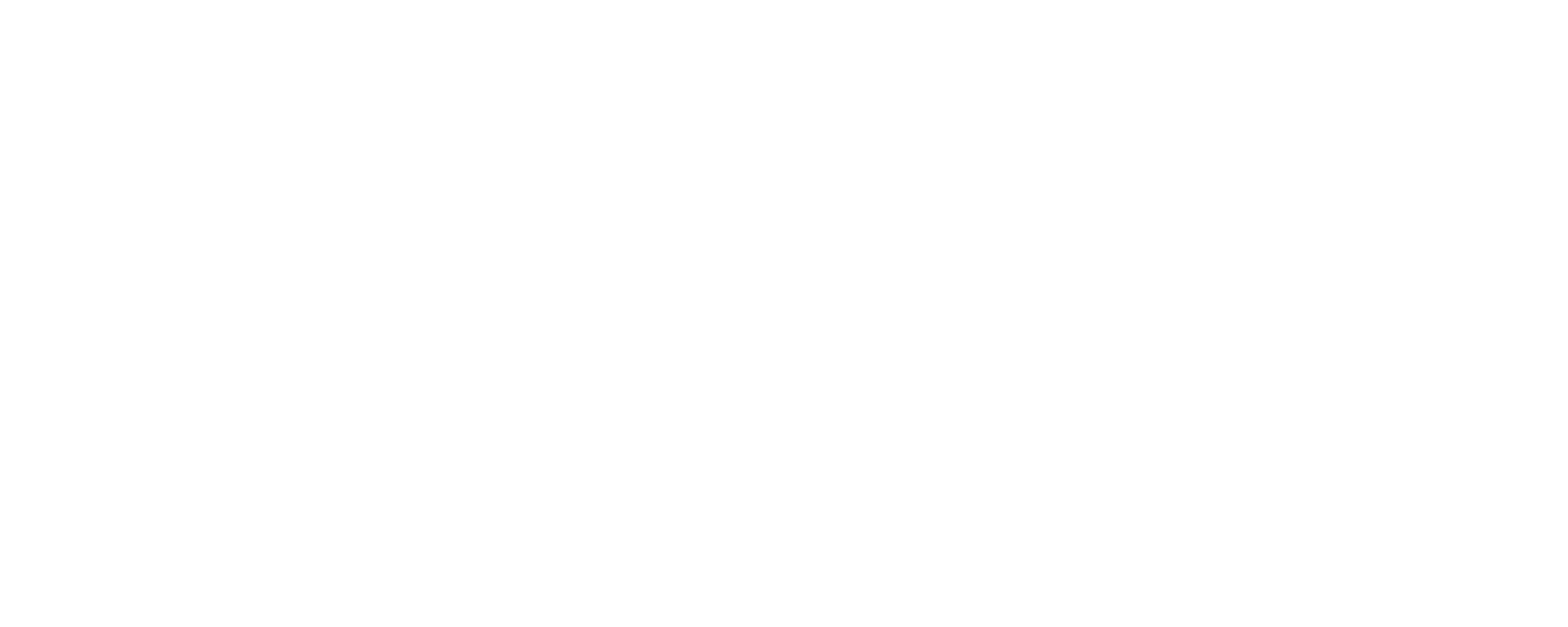 Perform Template Logo