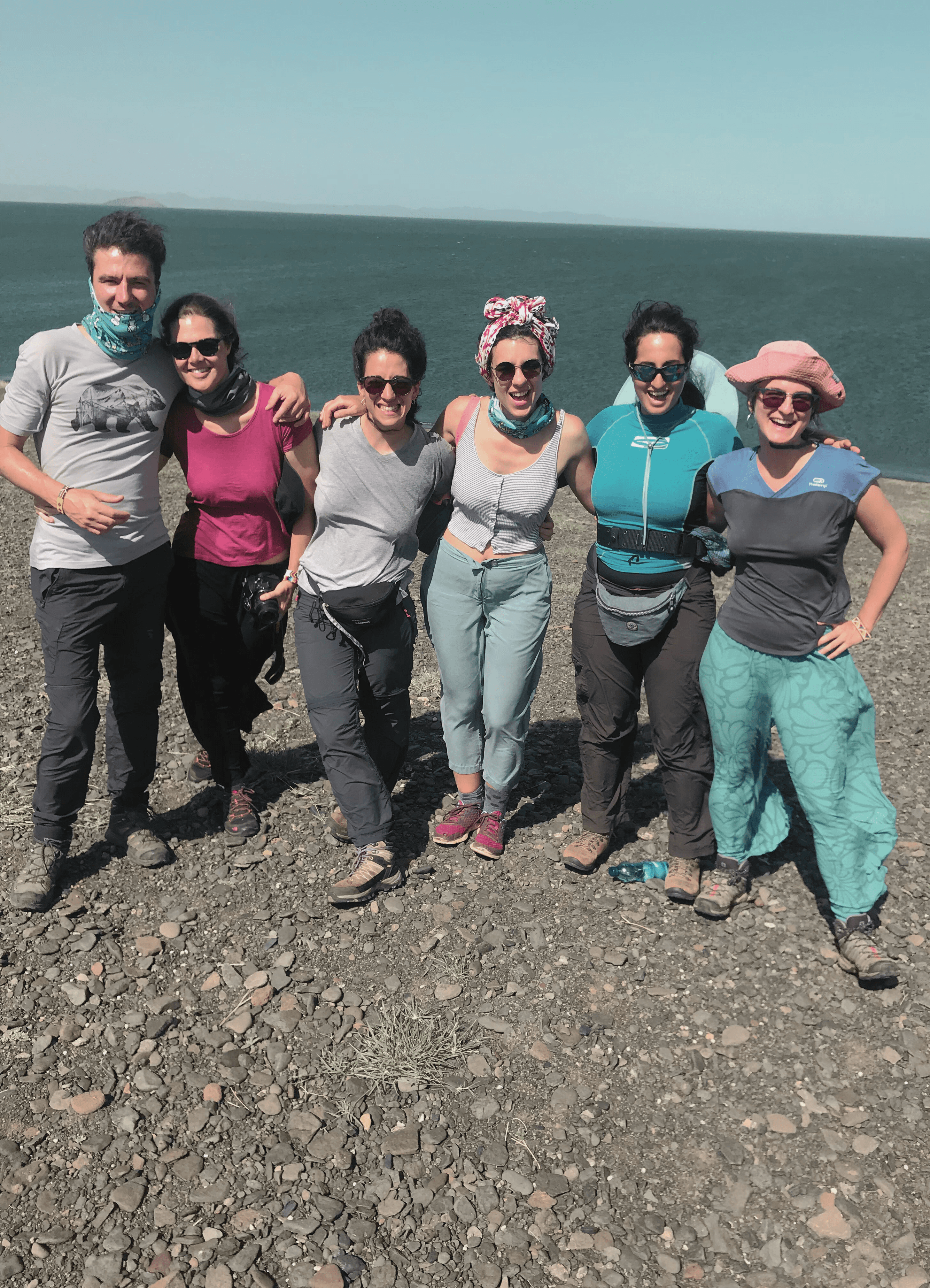 Aerial view of a winding road surrounded by dense green and yellow trees, showcasing nature’s vibrant colors.