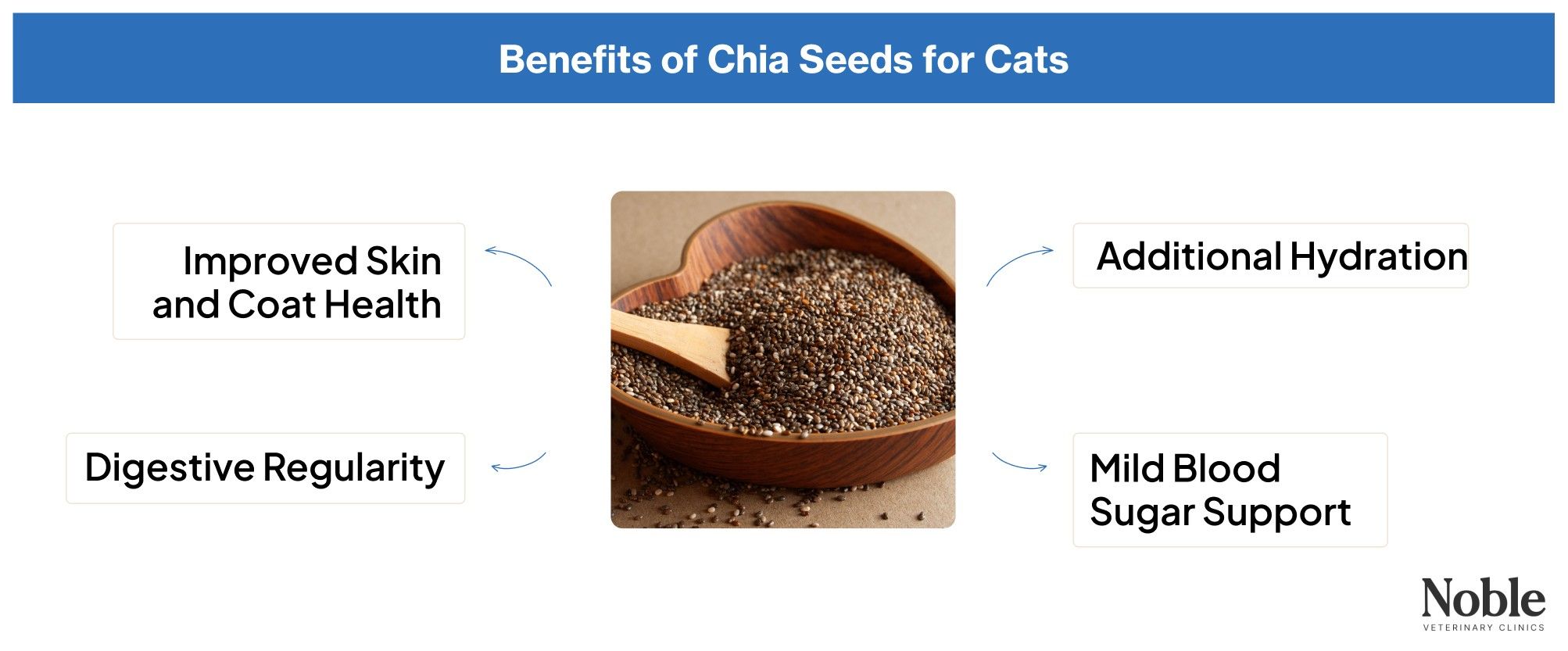 A bowl of chia seeds is in the center with arrows pointing outwards it showing the benefits of chia seeds to cats.