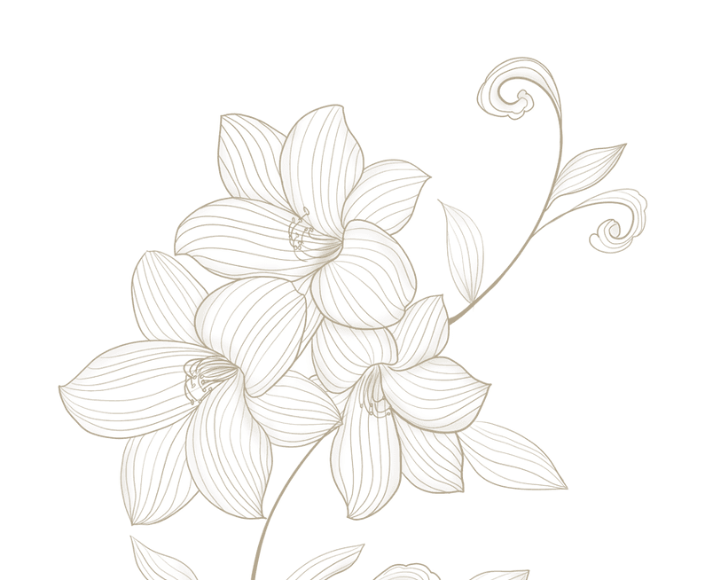 WhiteLotus Home page logo