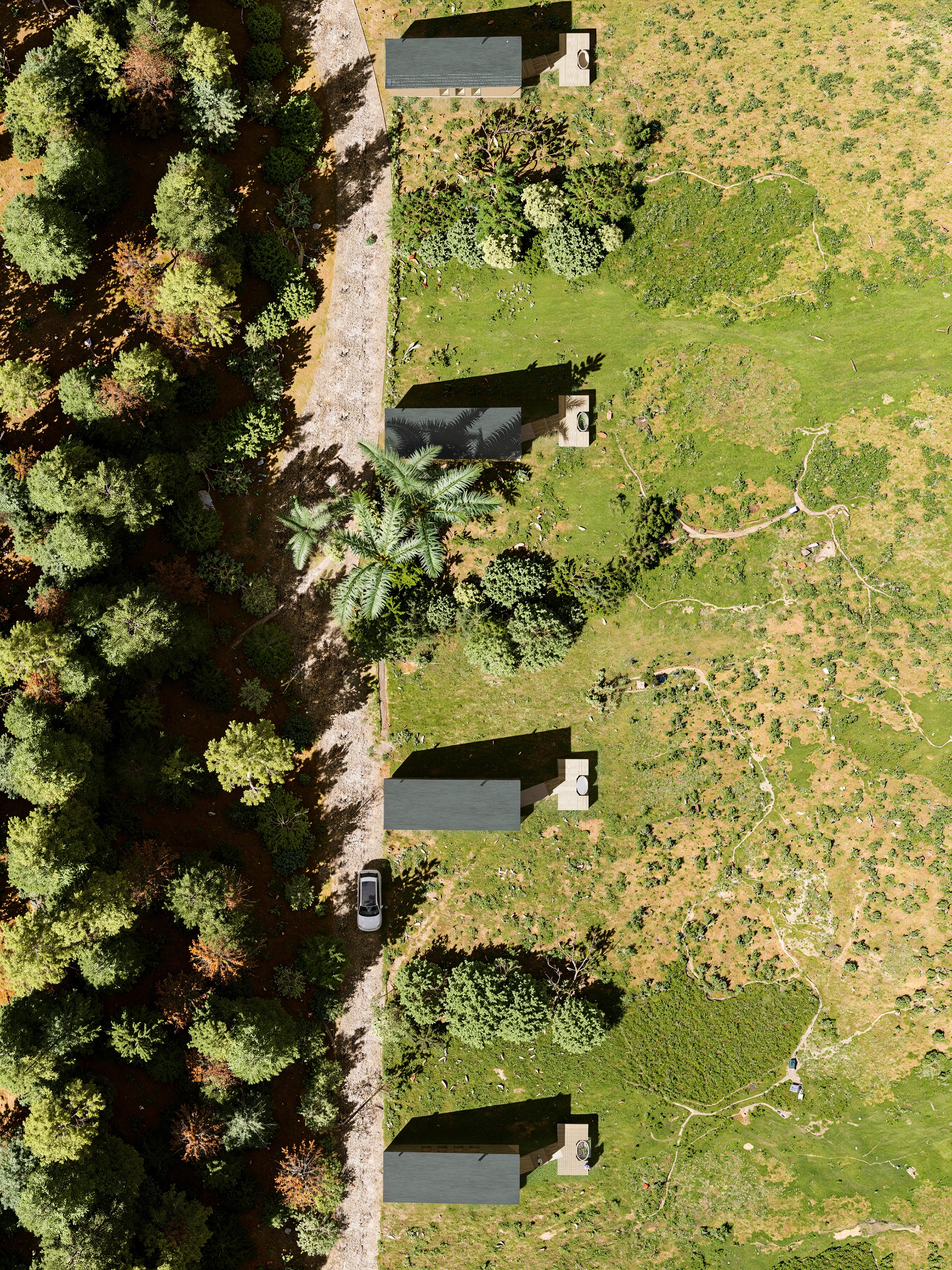 A smiling woman with her arms crossed, standing against a dark green background. She has long, dark hair.
