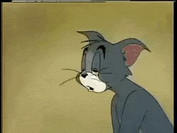 Cartoon Cat Confused, Scratches Head