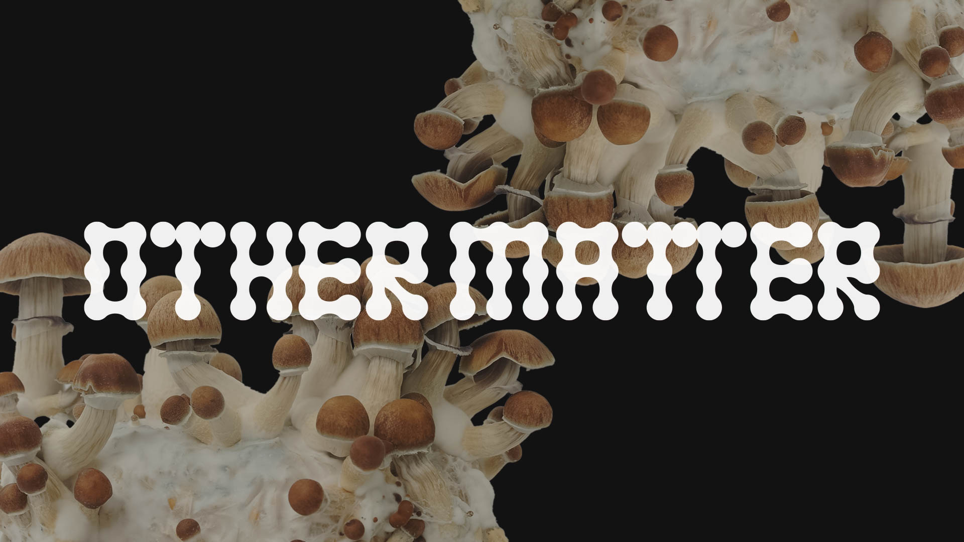 The image shows the text "OTHER MATTER" in white, stylized letters against a black background. The letters have a unique, slightly irregular font with decorative edges. In the background, there are clusters of brown mushrooms with tan-colored stems and caps, growing on a pale, creamy surface.