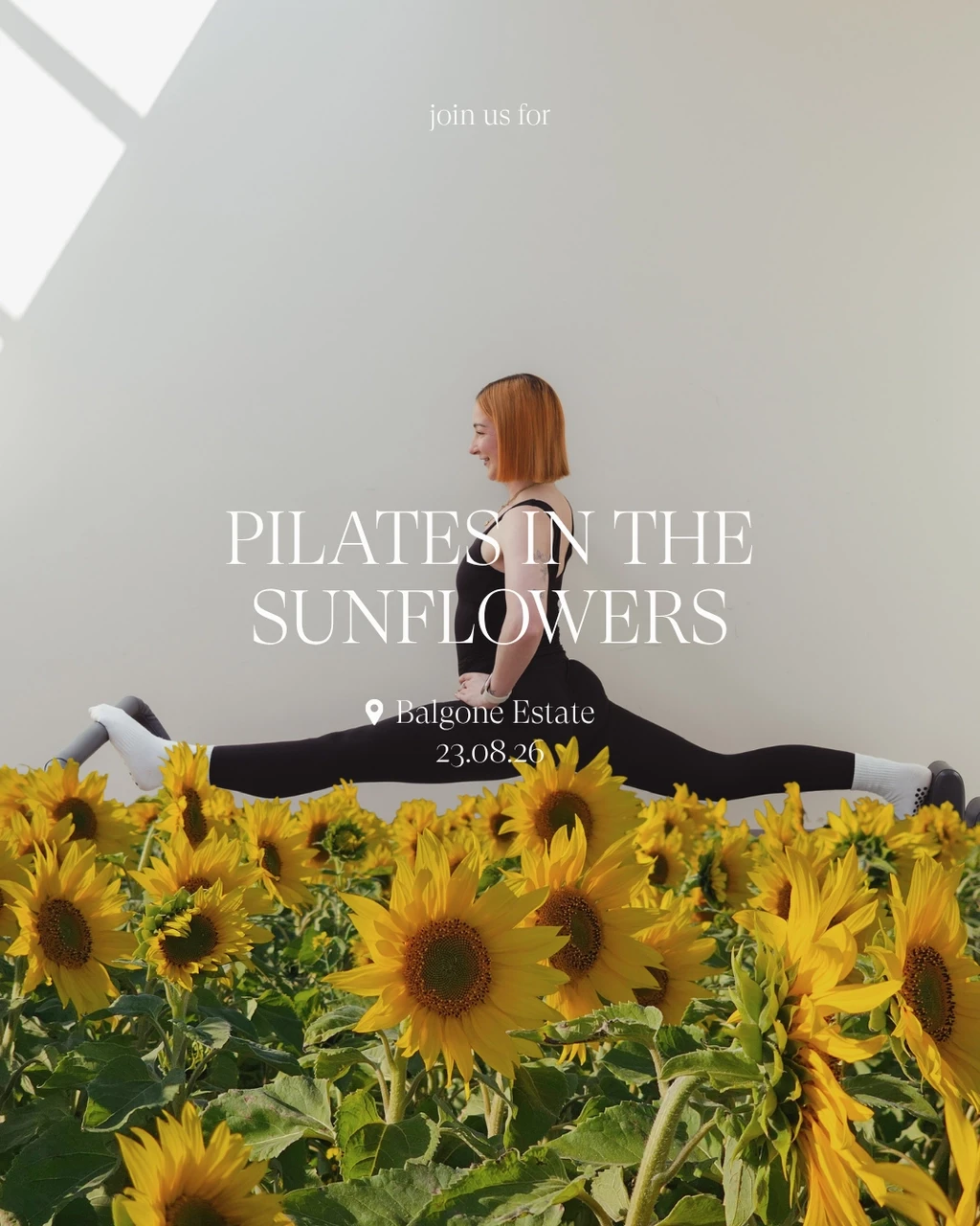 Pilates in the Sunflowers