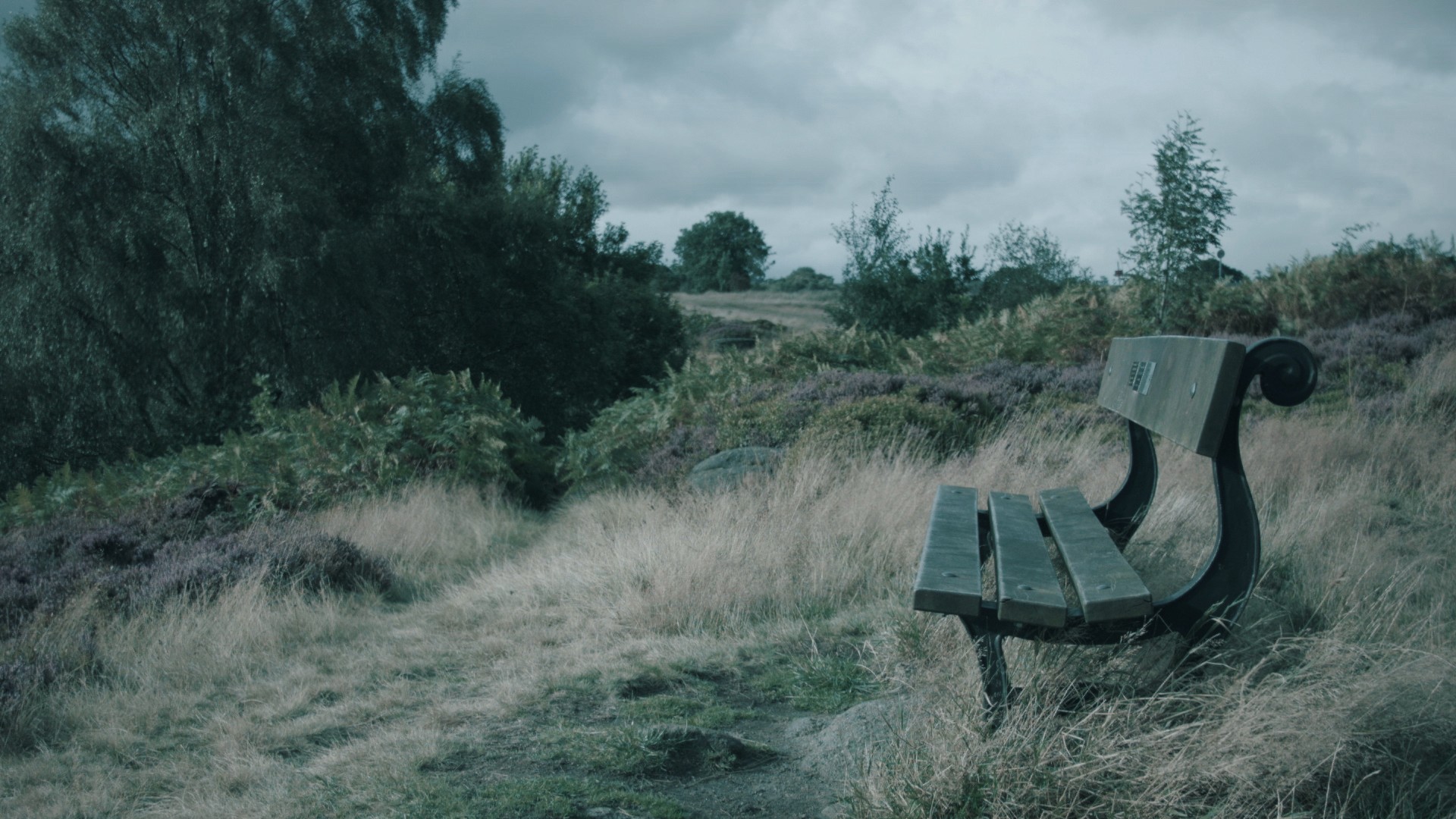 mourning blue LUT