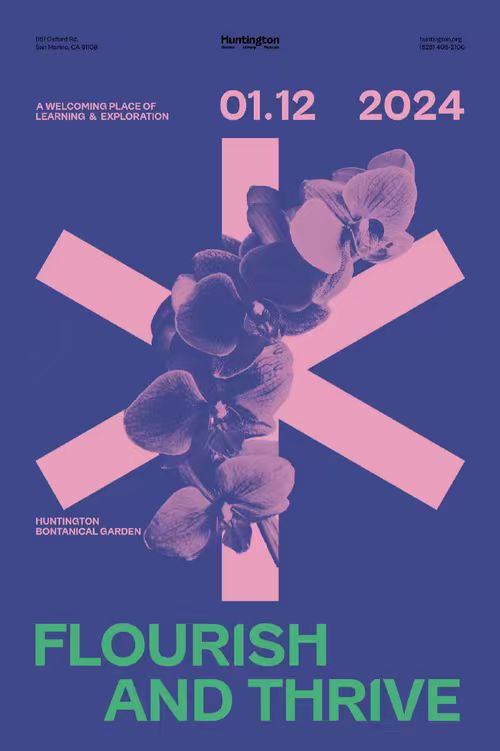 Black plastic pouch on velvet