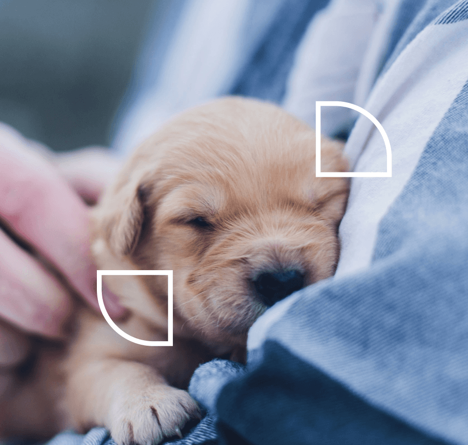 Logotipo formado por las palabras weuta en blanco sobre fondo naranja corporativo.