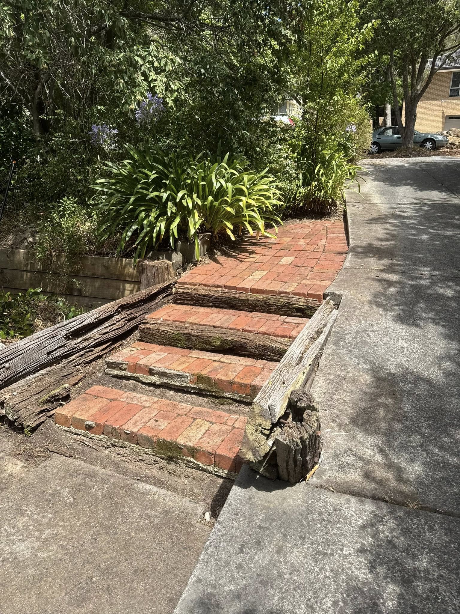 Brick steps and a concrete garden path, the kind of hard surface that needs a periodic wash