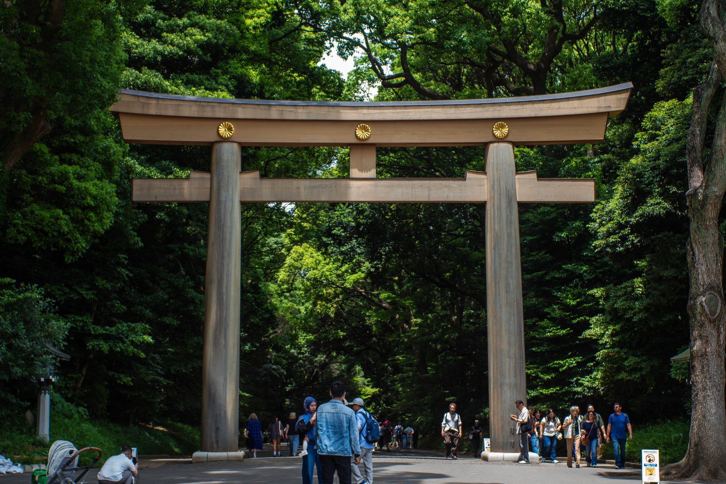 Meiji Jingu shrine gate photographed with the Zuiko 28mm f/3.5 vintage manual lens