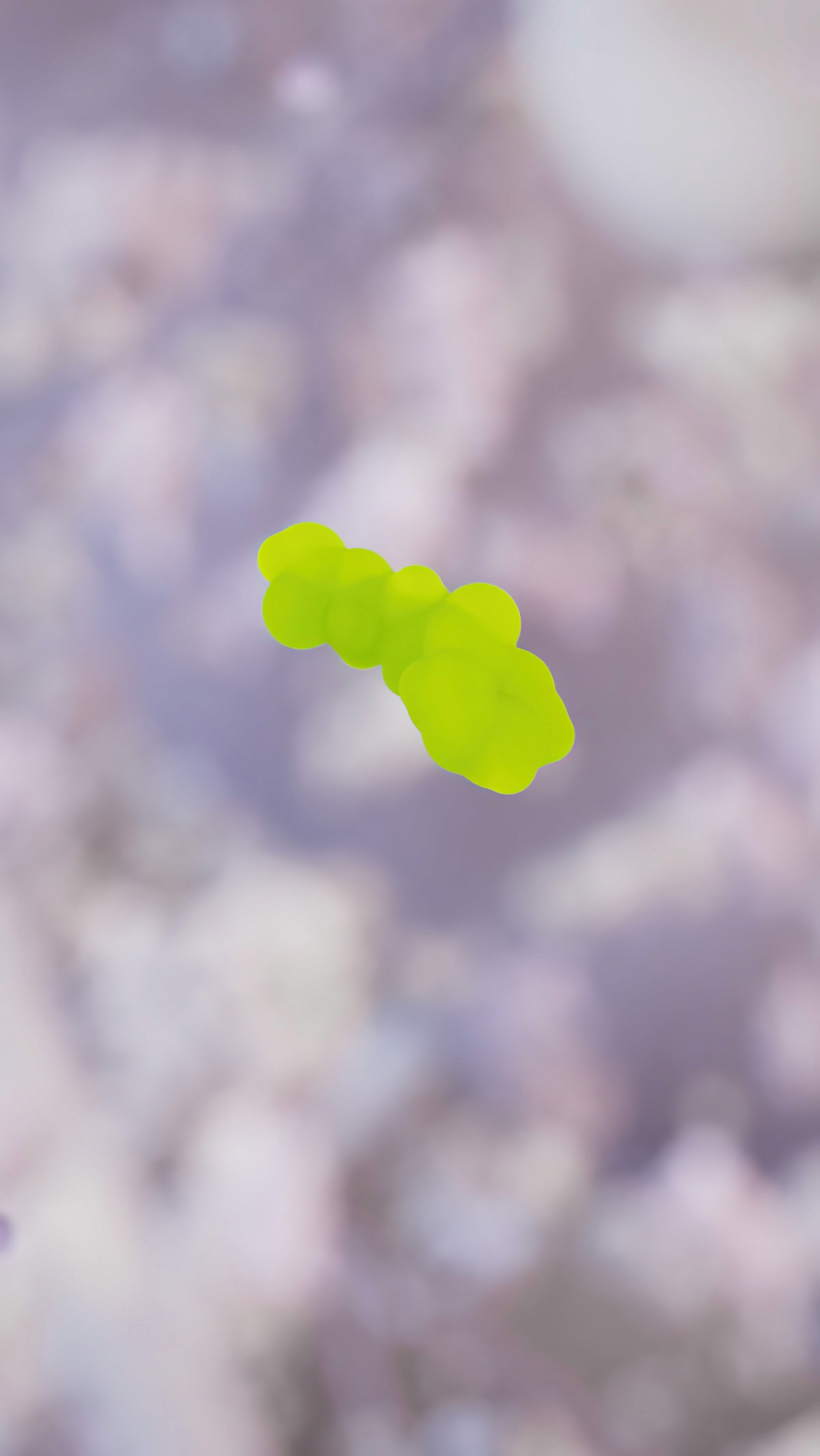 Visualization of the nicorandil molecule in the cytoplasm