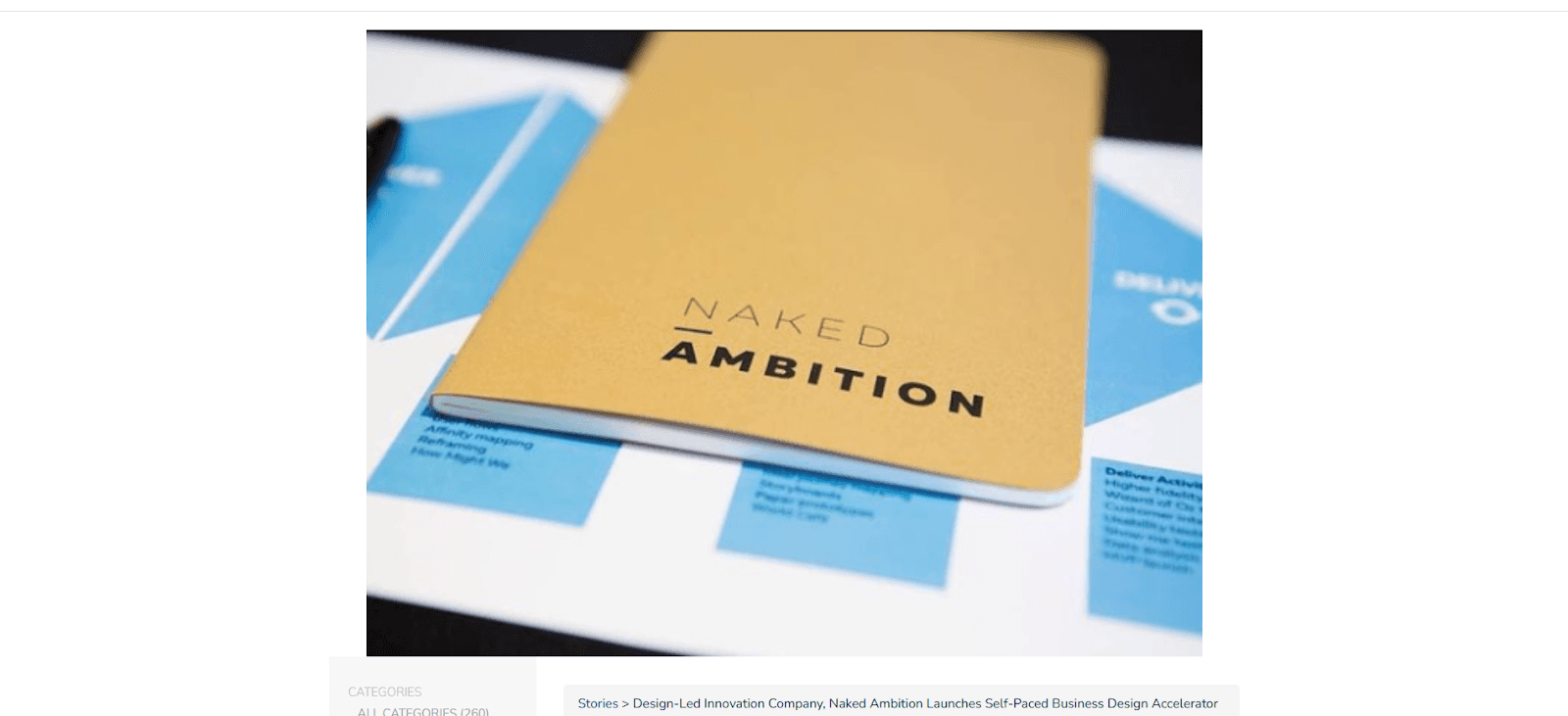 Naked Ambition One of the Best User Research Firms in Australia