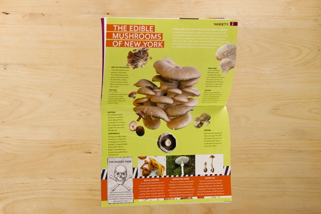 The image shows an open magazine spread titled "The Edible Mushrooms of New York." The spread features a bright green background and includes photographs of various mushrooms, along with text describing the mushrooms. The text is primarily in black and red on a white background. The spread is resting on a light-colored wooden surface.