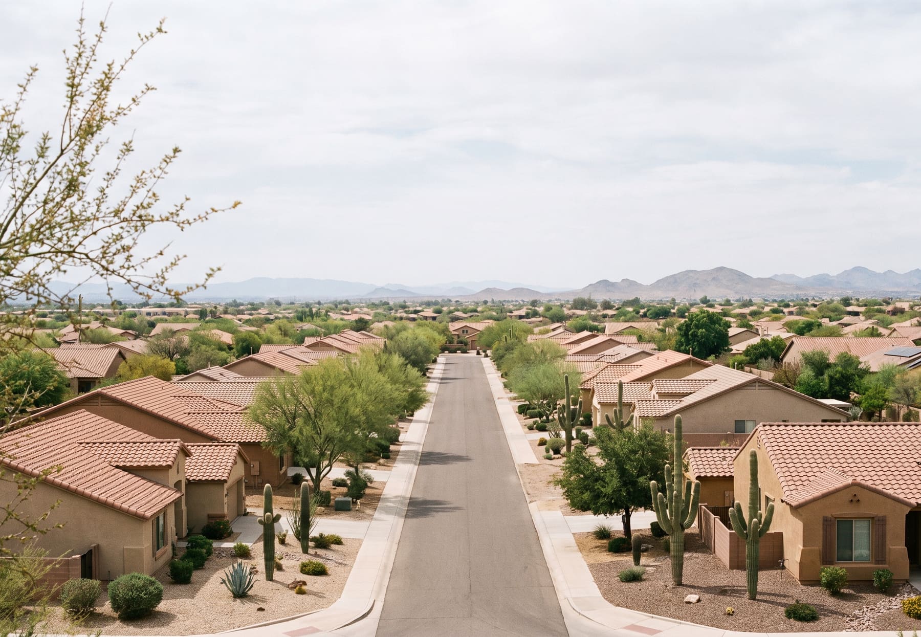 A wide view across Phoenix suburbs, terracotta tile rooftops spread among palo verde trees with a road running out toward dry desert mountains.