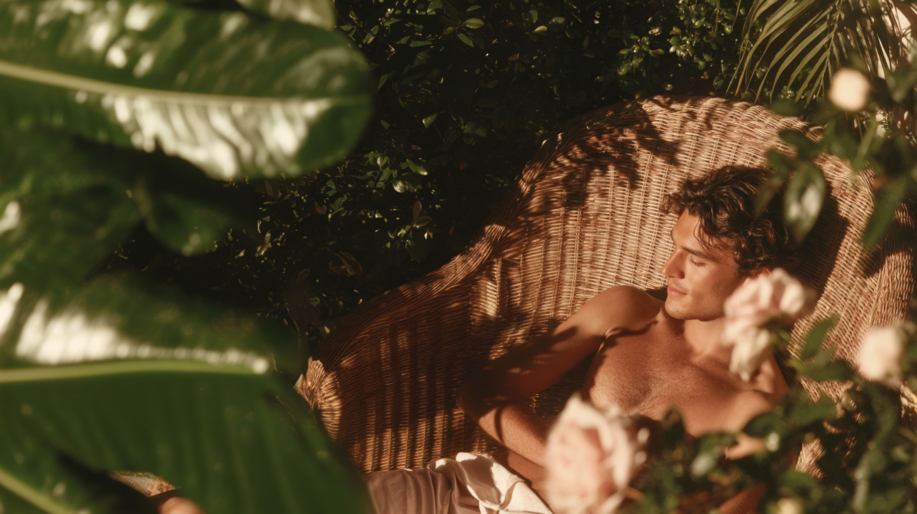 A man relaxes on a wicker chair, surrounded by lush greenery and blooming roses. Sunlight casts soft shadows, creating a serene and tranquil atmosphere.