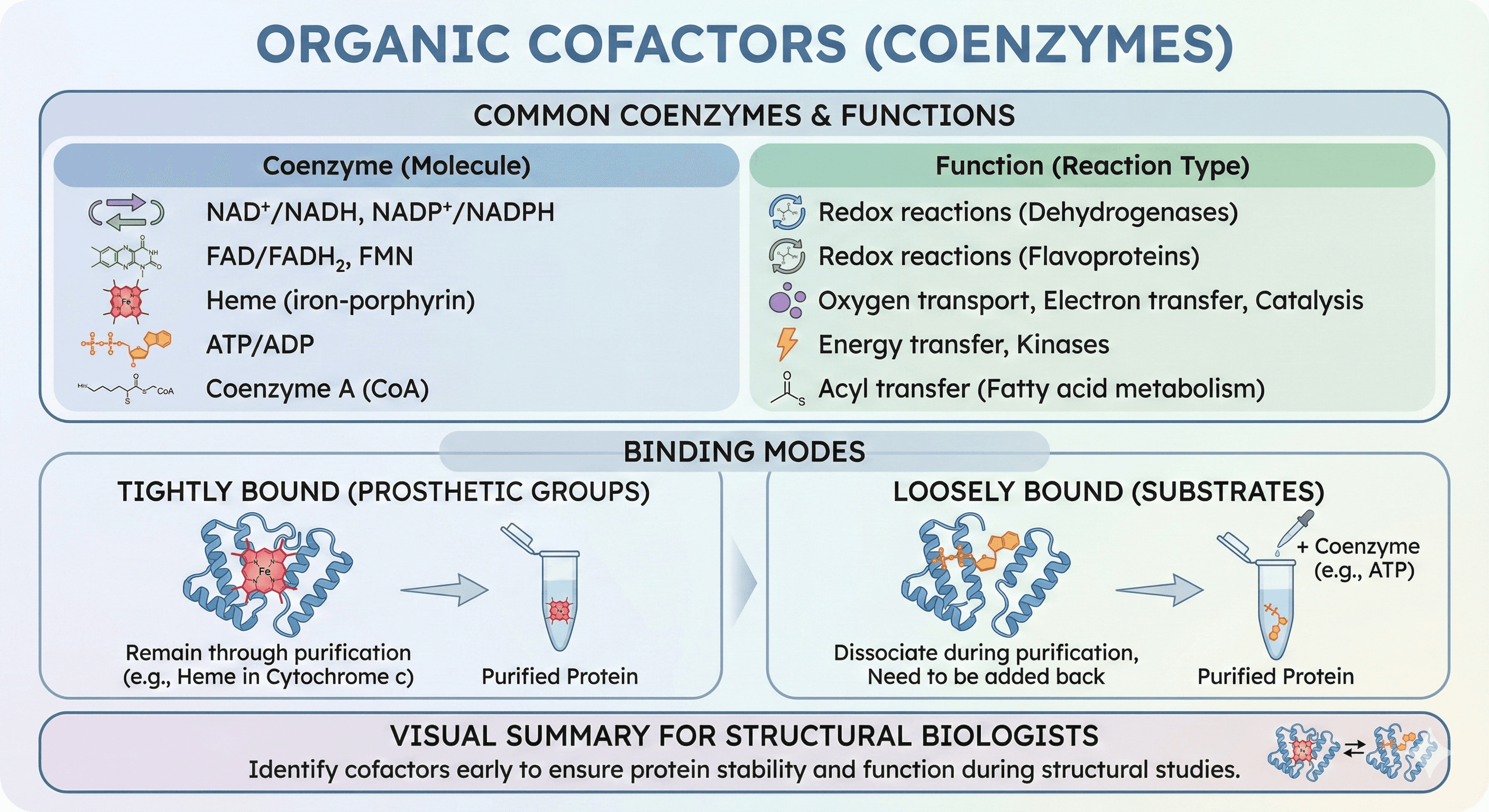 Diagram Showcasing Properties of Organic Cofactors