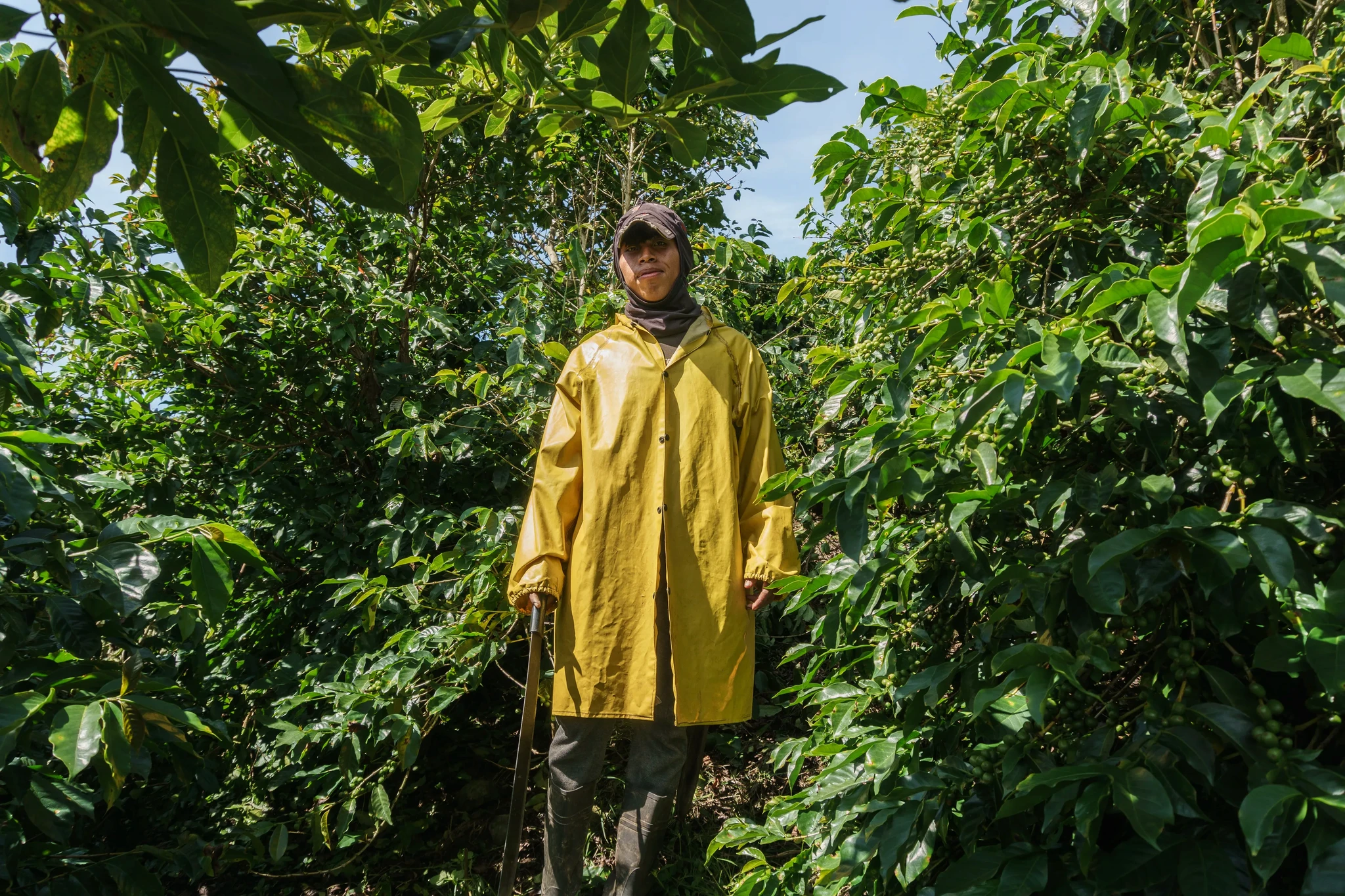 A person wearing a yellow raincoat and cap stands amidst lush green foliage, holding a walking stick. The sky is partly cloudy, and bright sunlight filters through the leaves.