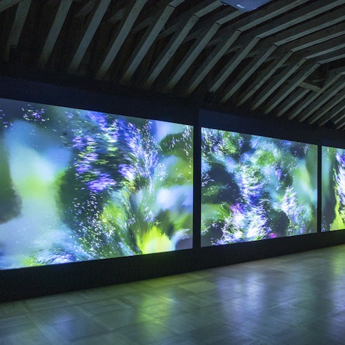 Domaine de Chaumont-sur-Loire: Ulaznice bez čekanja u redu u Chaumont-sur-Loireu