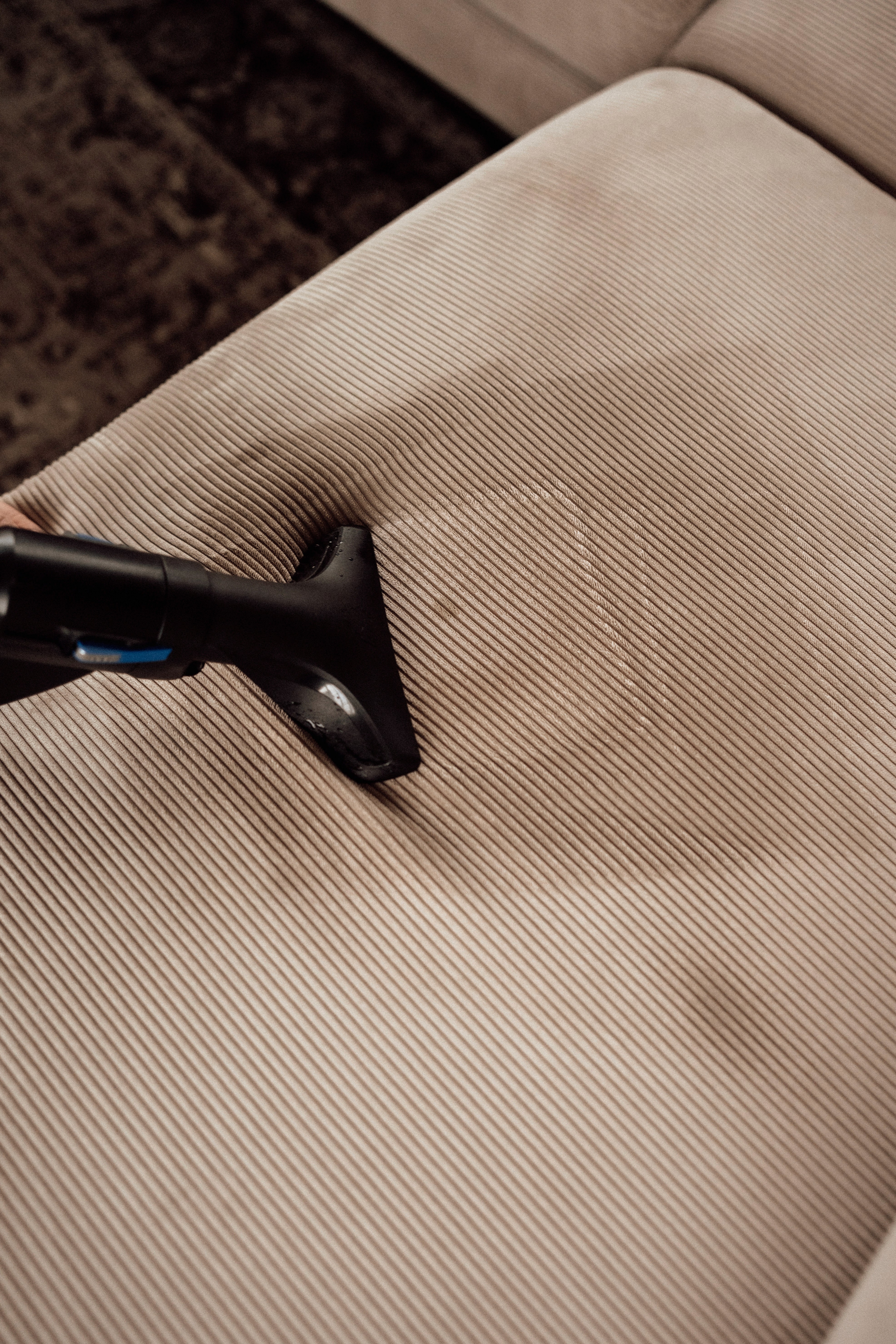 eine Frau, die mit dem HYLA eine Polsterreinigung durchführt