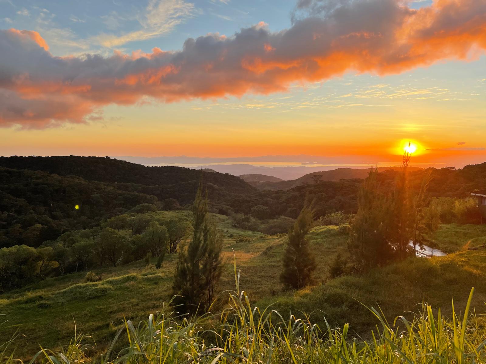 Somatic Career Support