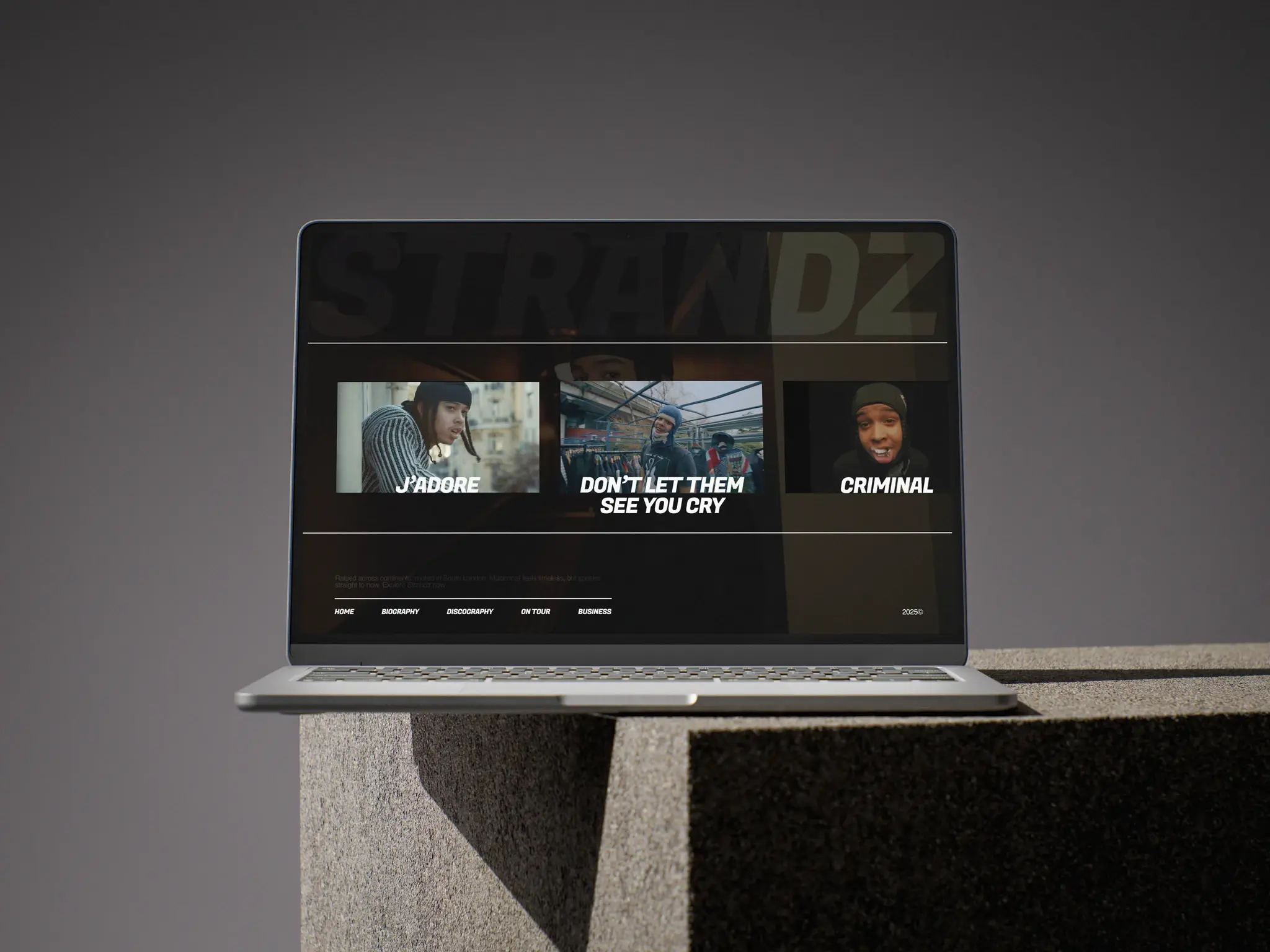 Strandz Discography Mockup