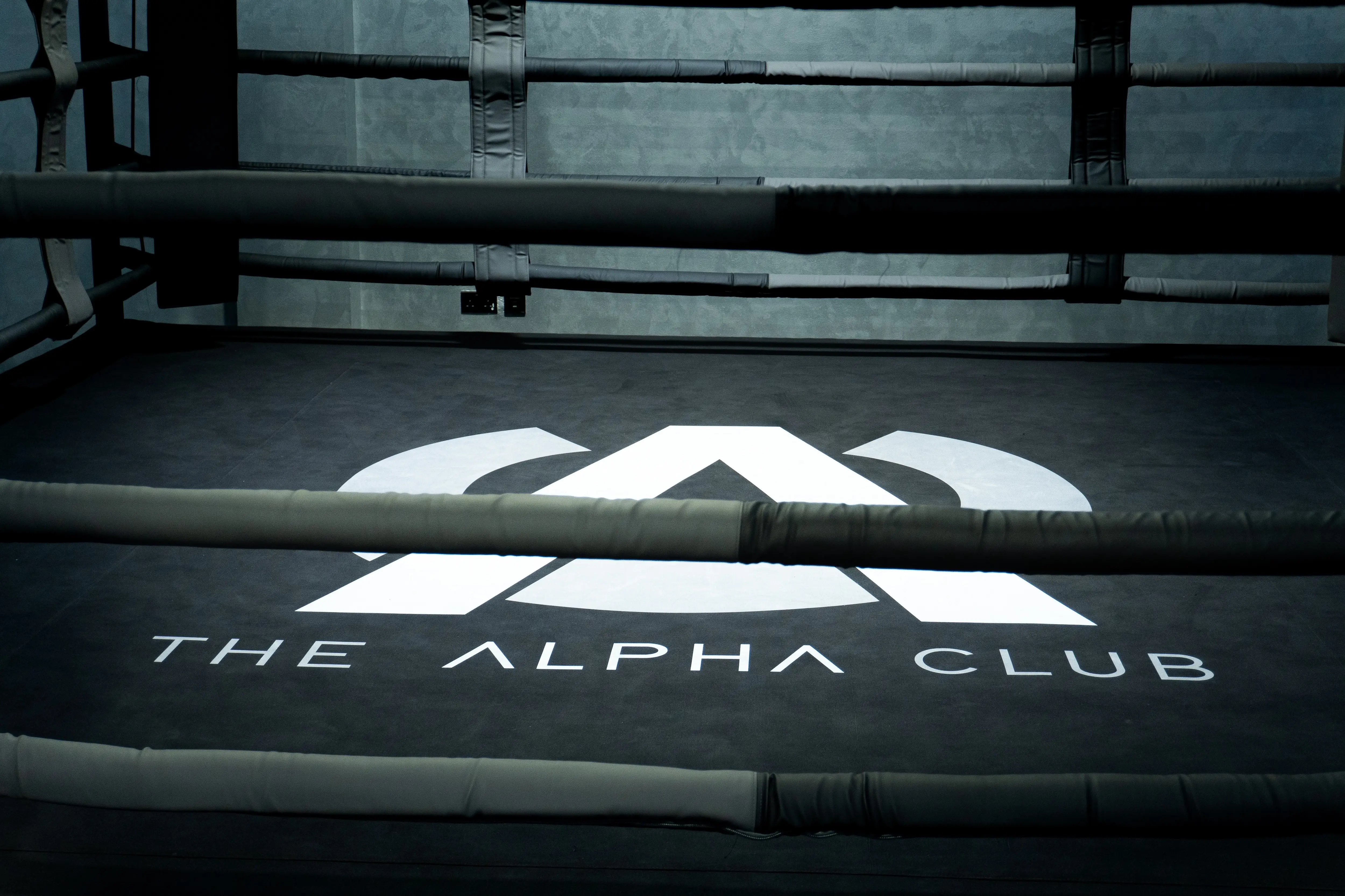 The Alpha Club logo displayed in the centre of a professional boxing ring.