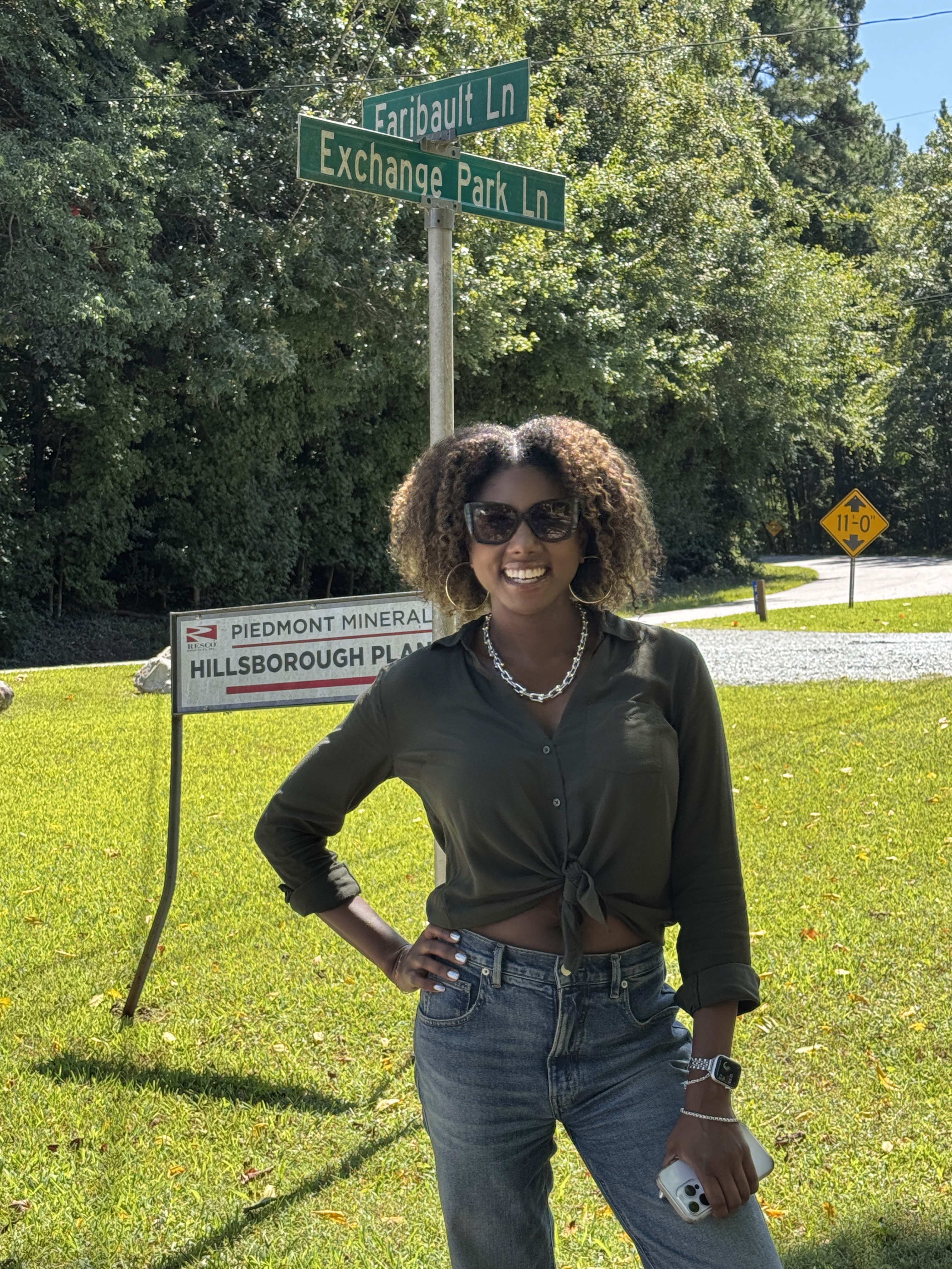 Close-up of evergreen foliage, showcasing vibrant green needles densely packed together.
