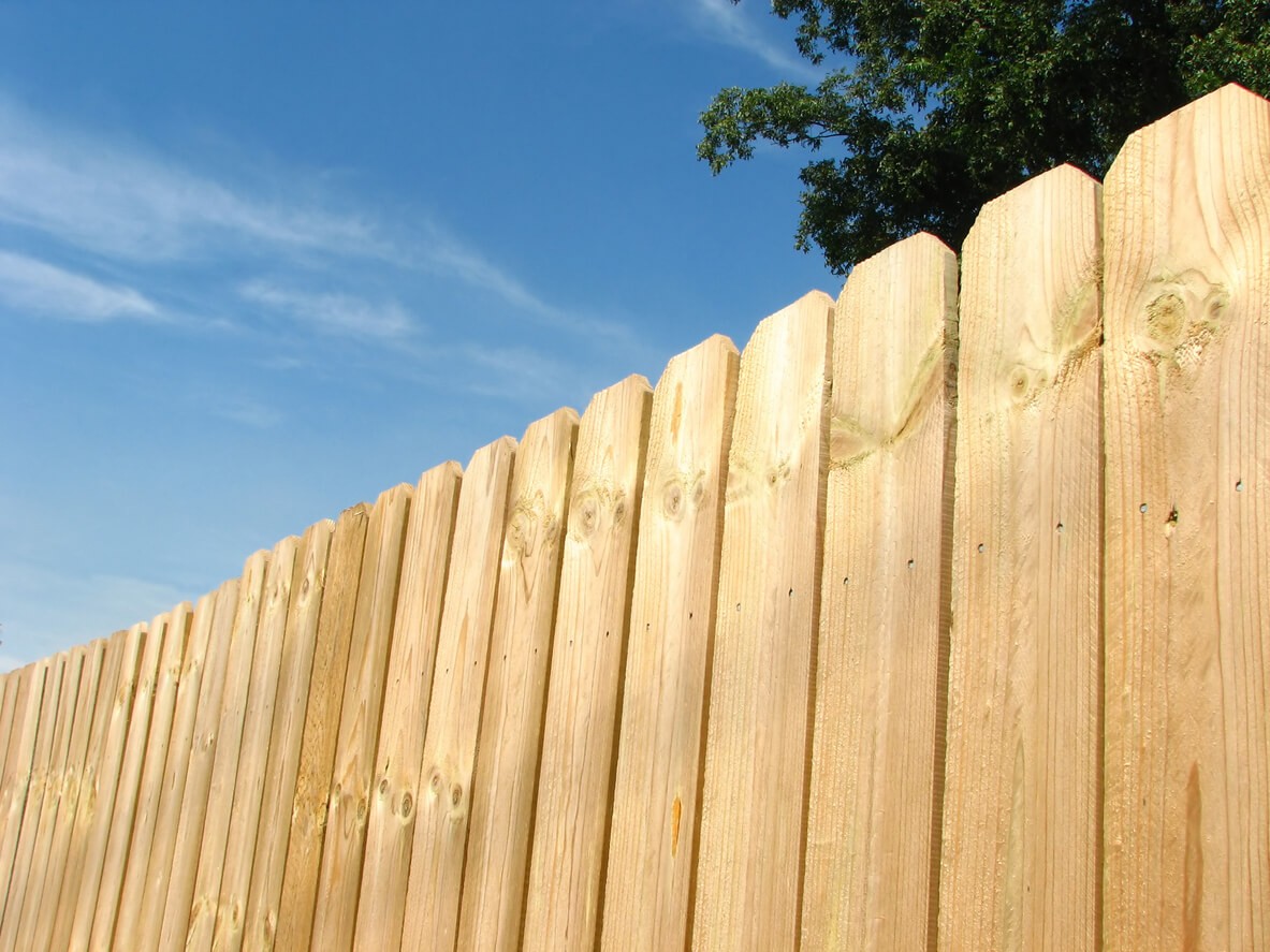 brown wooden fence under blue sky during daytime